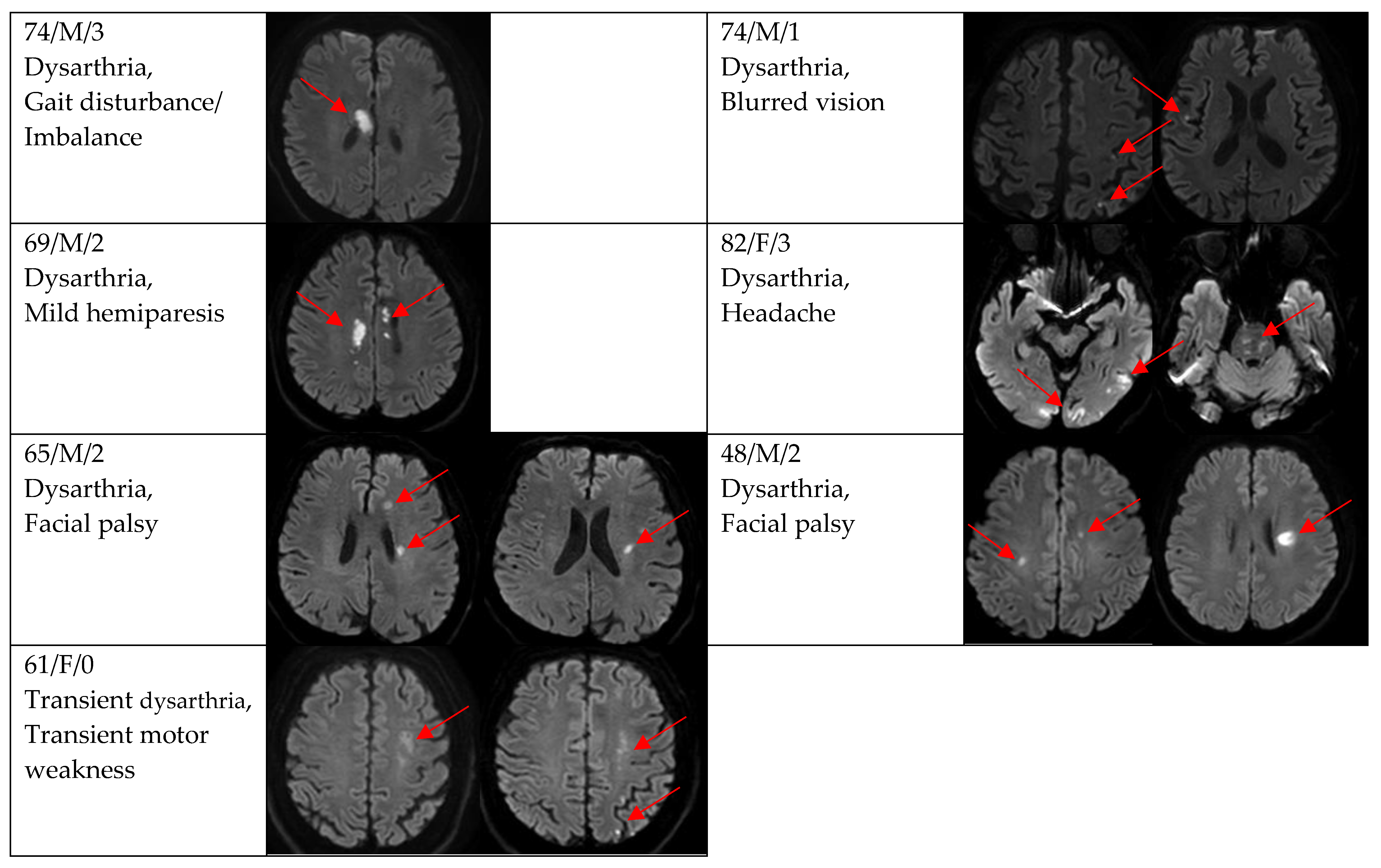 Brainsci 12 01047 g004b