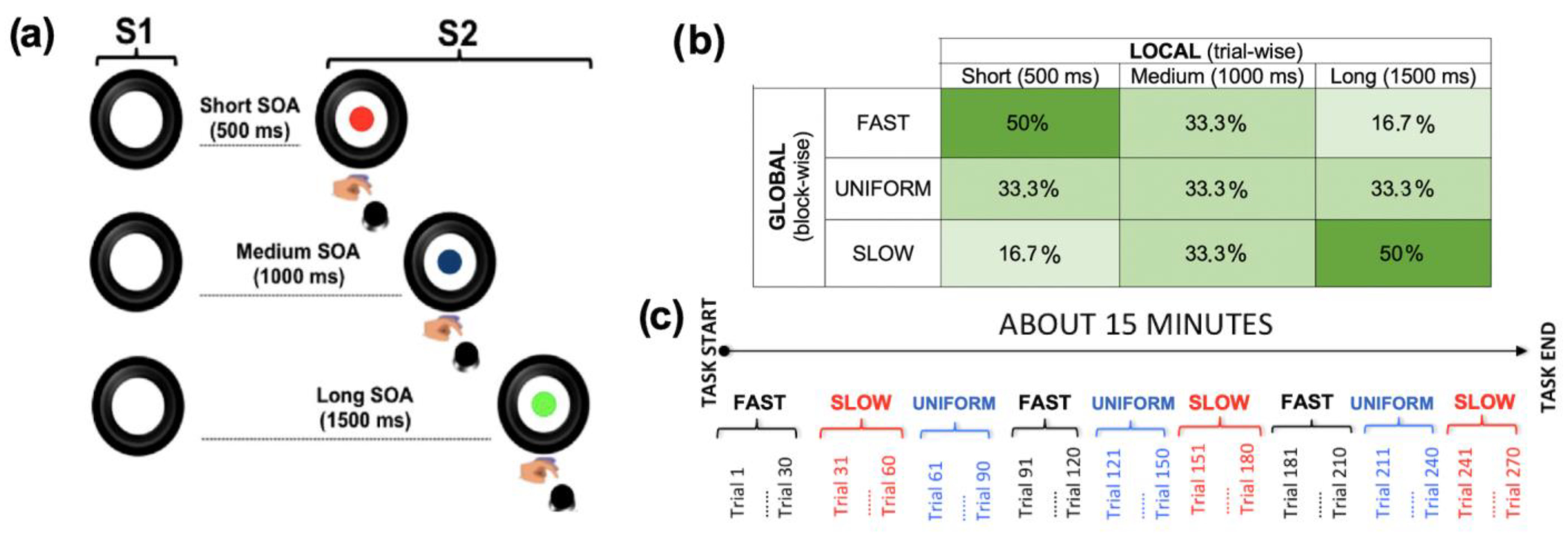 Brainsci 12 01074 g001 Brainsci 12 01074 g001