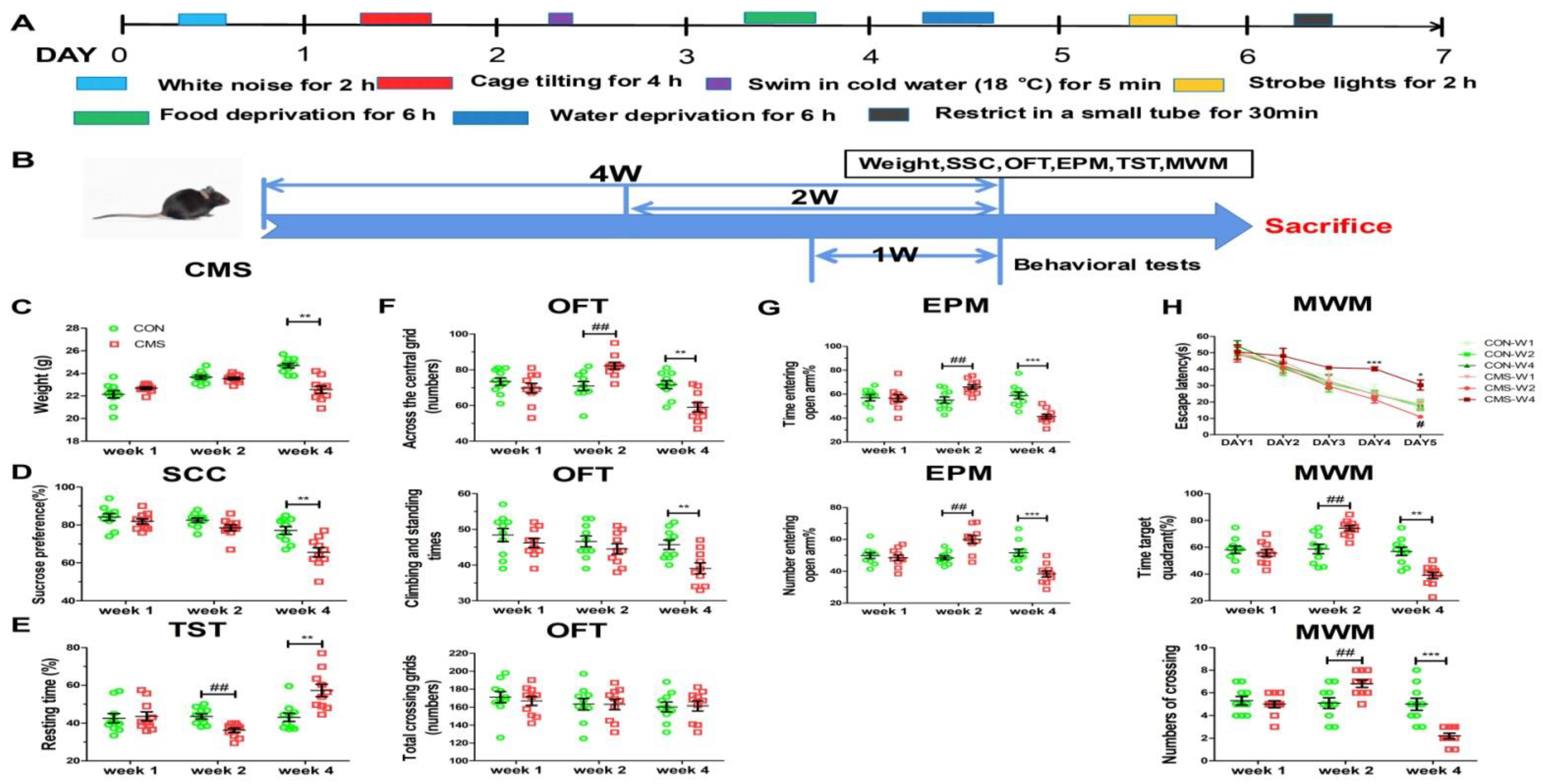 Brainsci 12 01081 g001