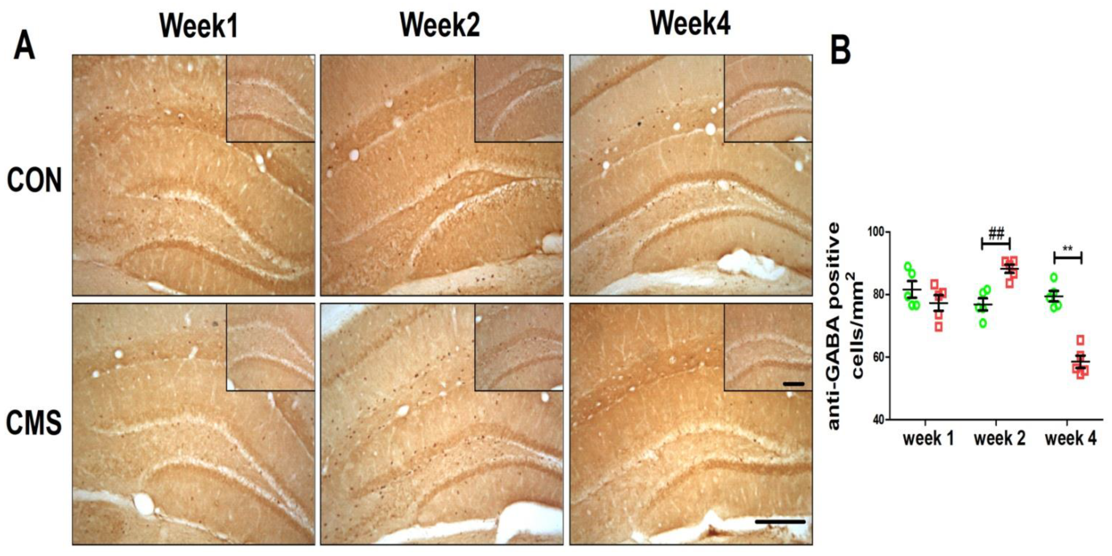 Brainsci 12 01081 g002