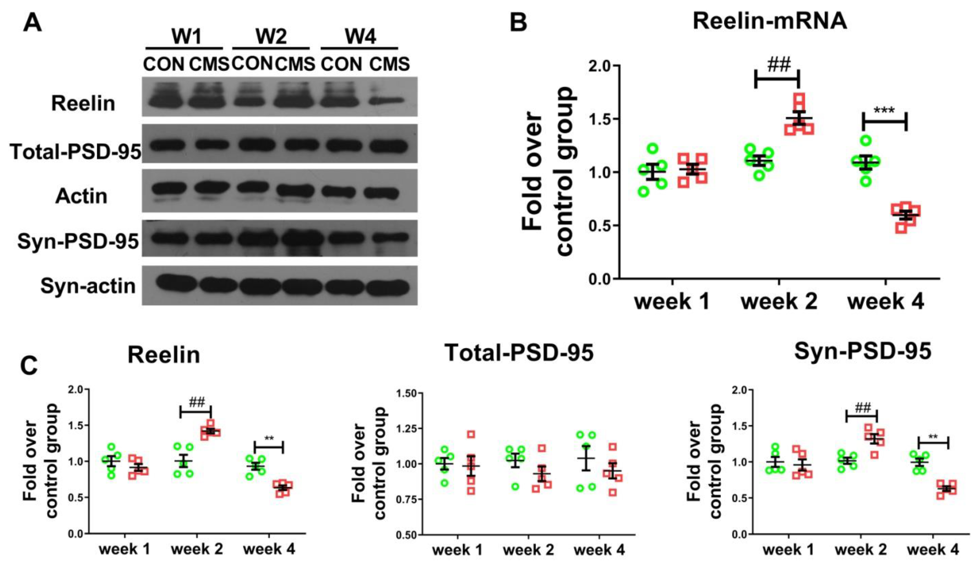 Brainsci 12 01081 g004
