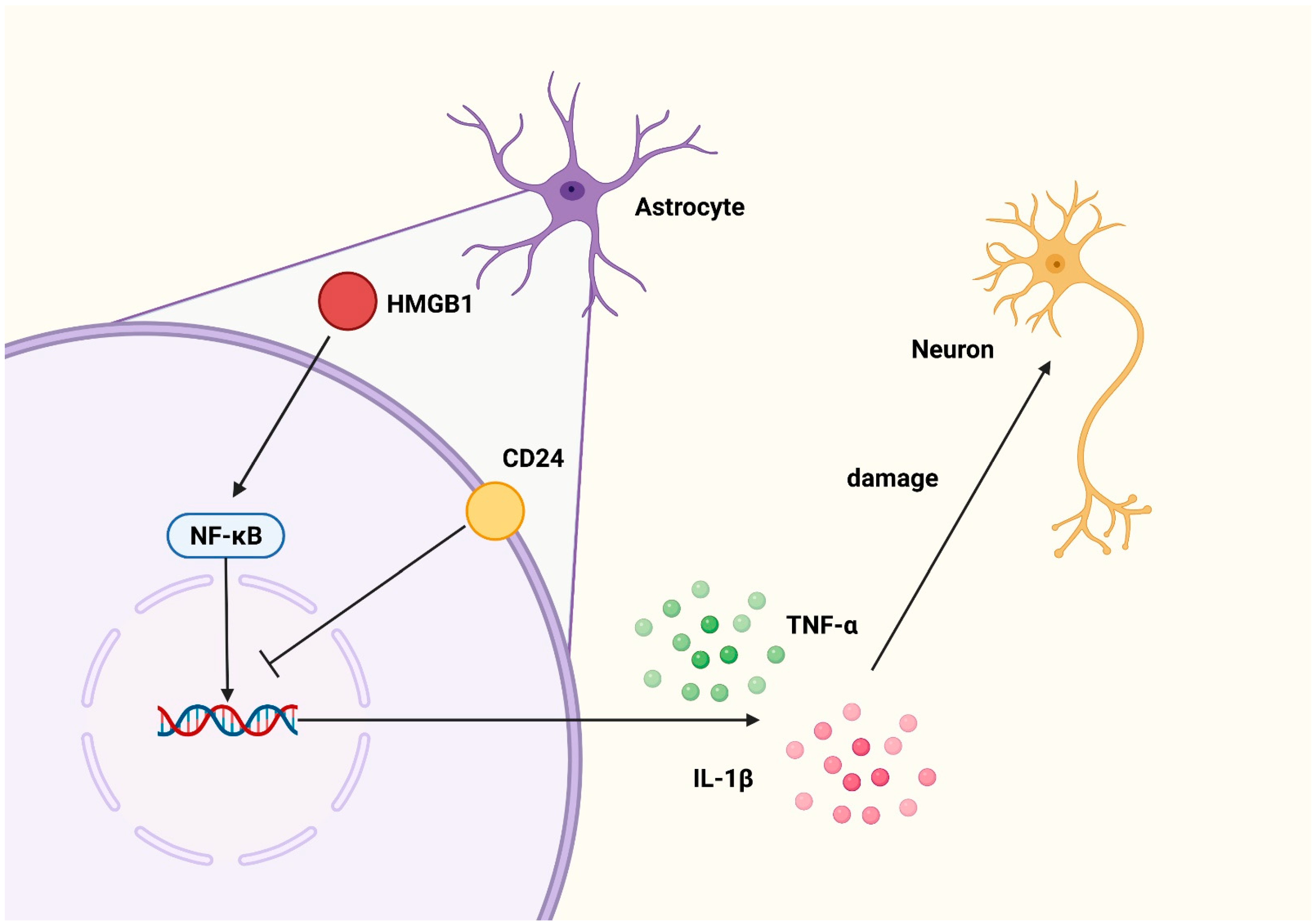 Brainsci 12 01119 g006
