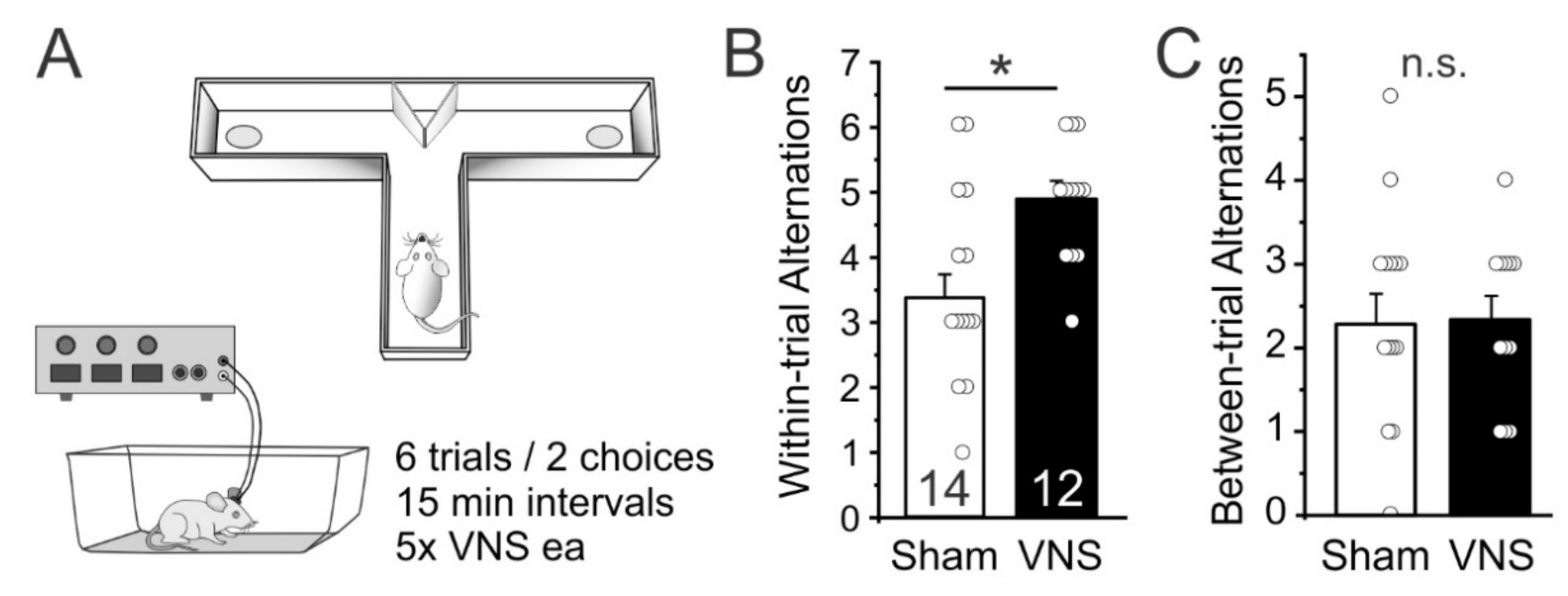 Brainsci 12 01137 g002 Brainsci 12 01137 g002