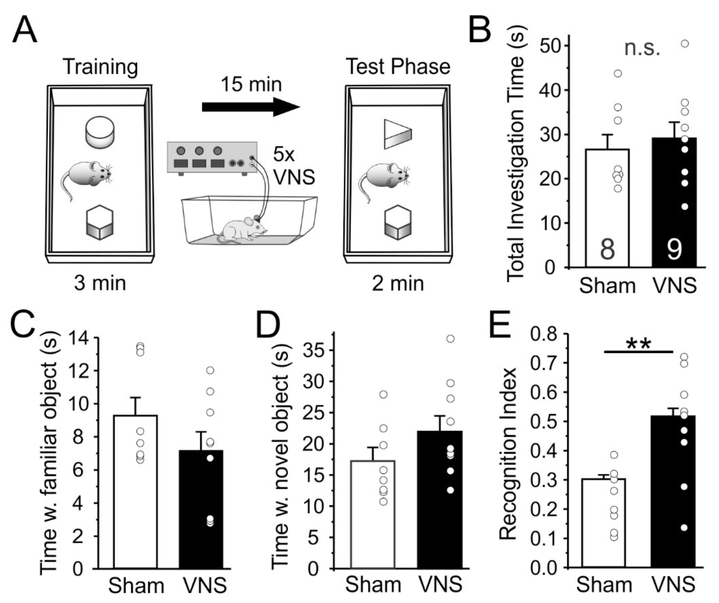 Brainsci 12 01137 g003 Brainsci 12 01137 g003