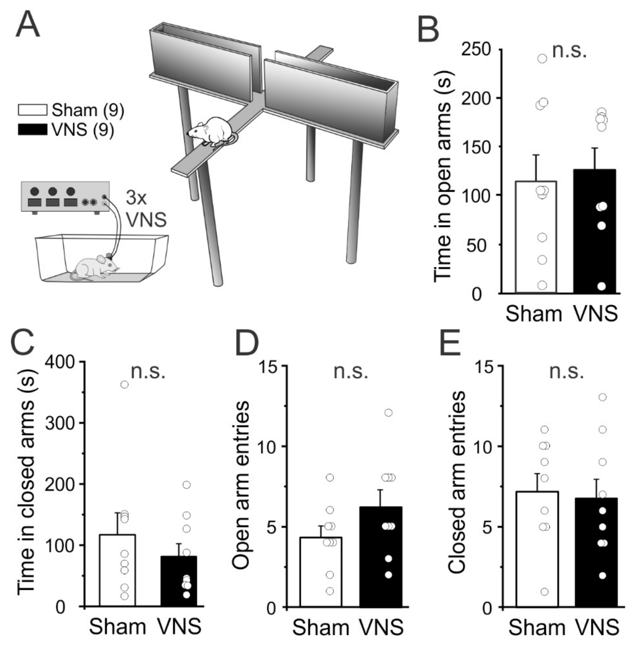 Brainsci 12 01137 g004 Brainsci 12 01137 g004