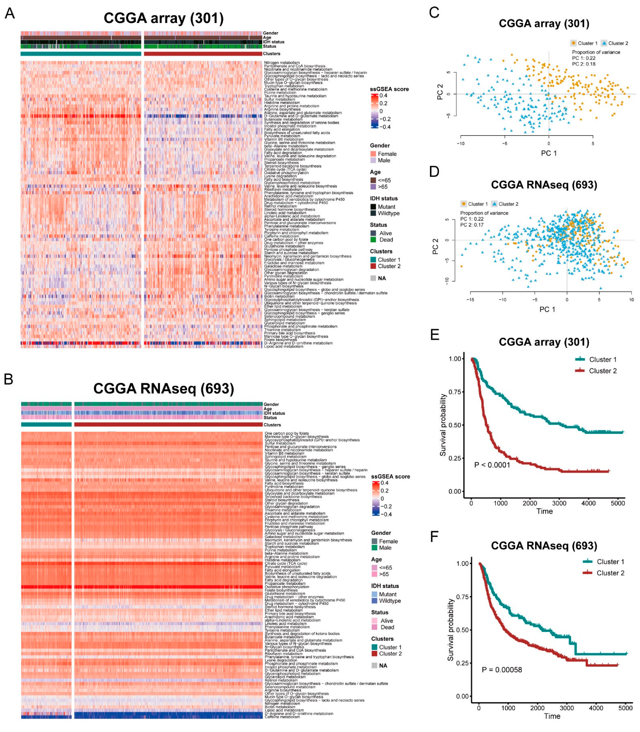 Brainsci 12 01138 g001