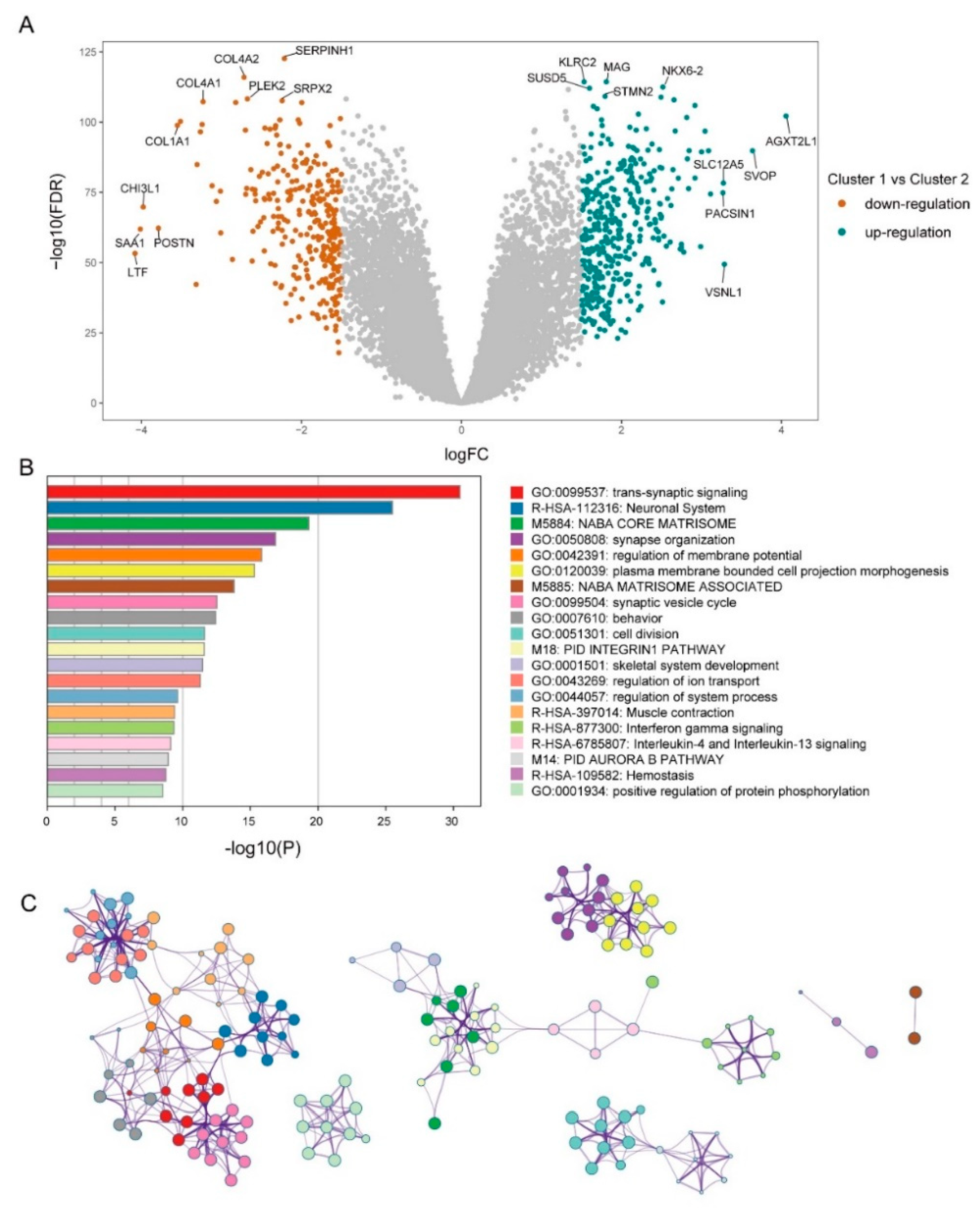 Brainsci 12 01138 g004