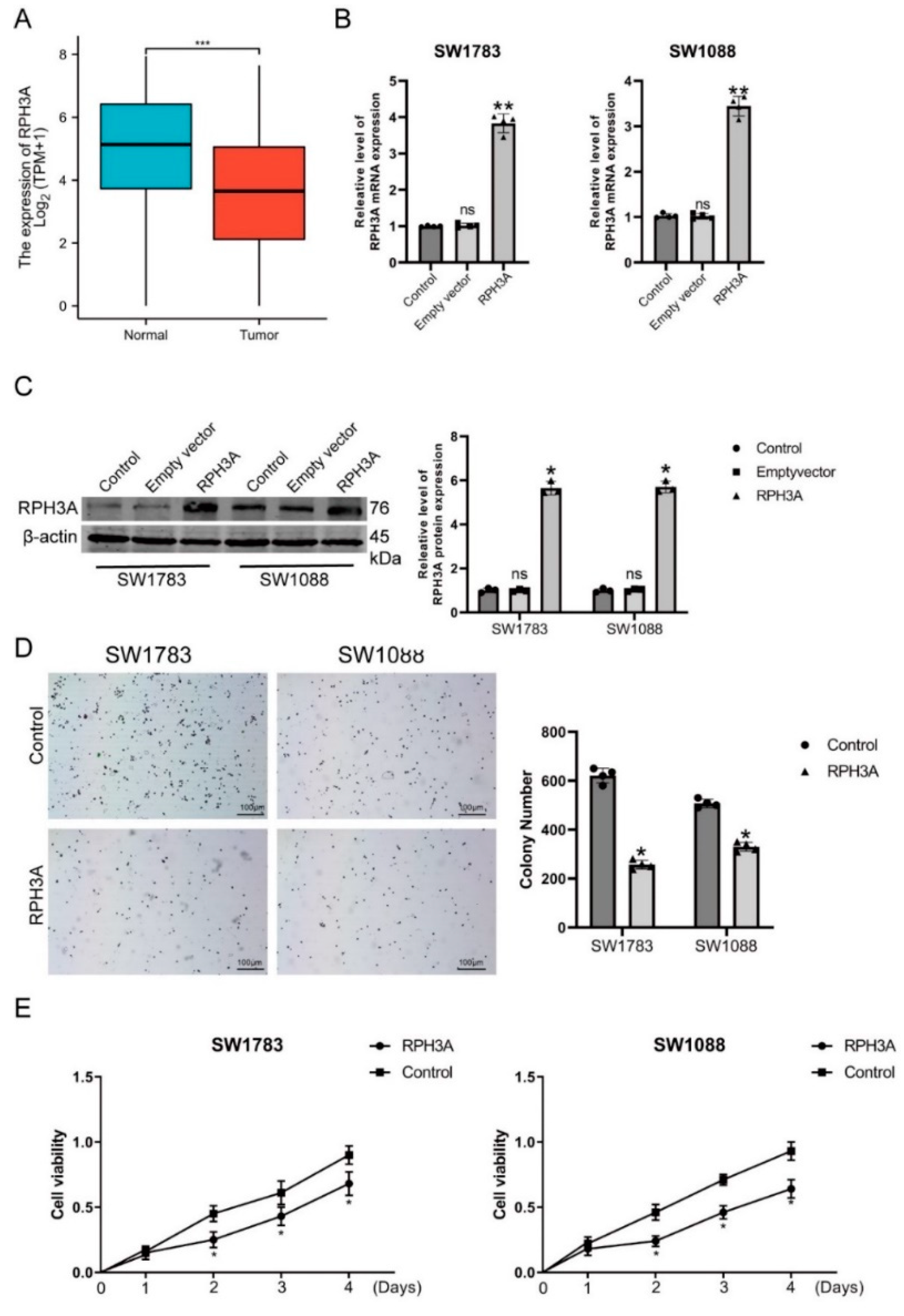 Brainsci 12 01138 g009
