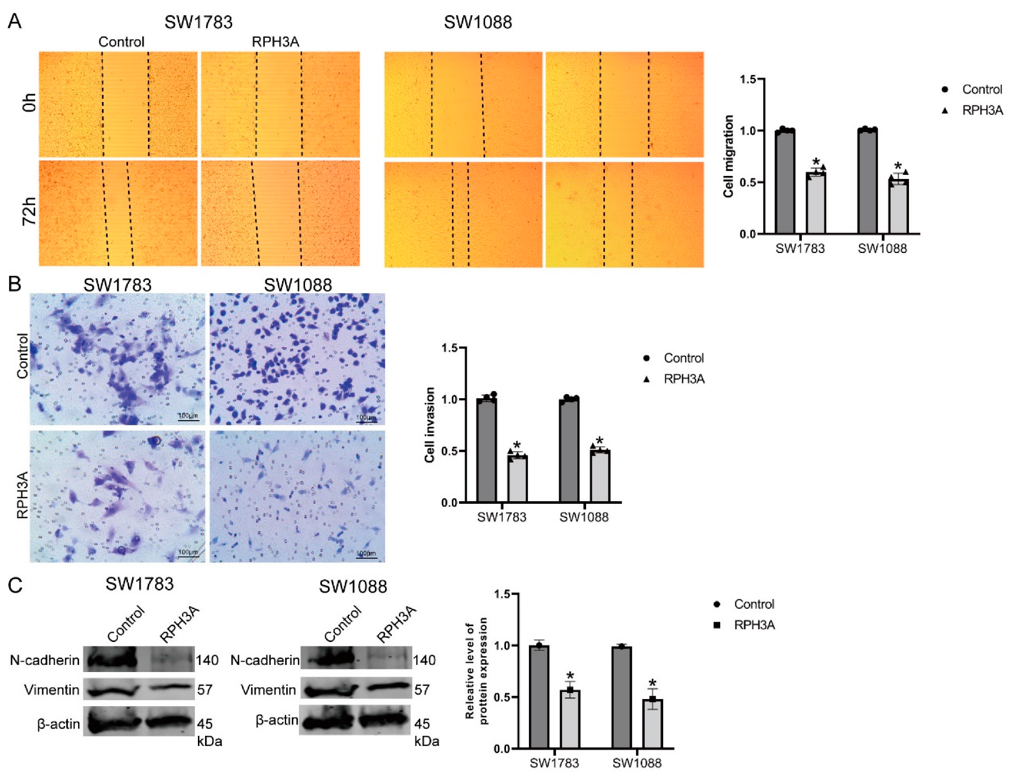 Brainsci 12 01138 g010