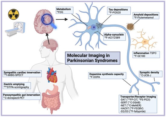 Brain Sciences | Free Full-Text | Molecular Imaging in Parkinsonian  Disorders&mdash;What&rsquo;s New and Hot?