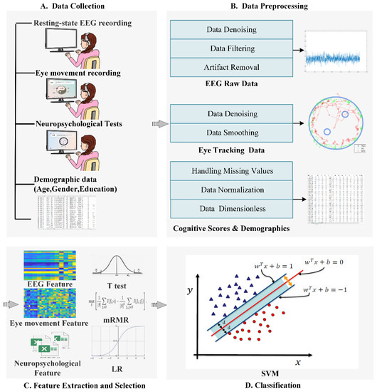 Normal clearance cognitive development