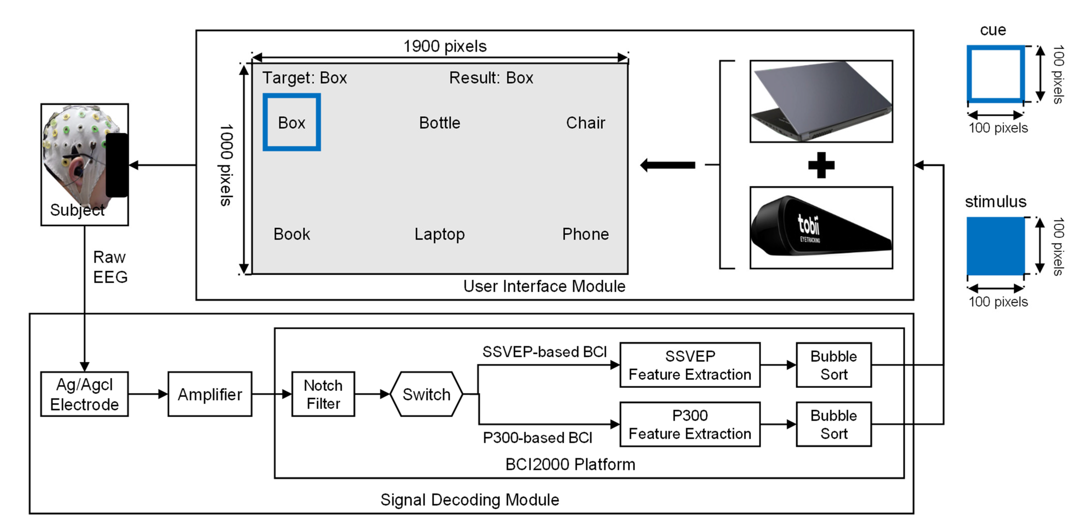 Brainsci 12 01152 g001