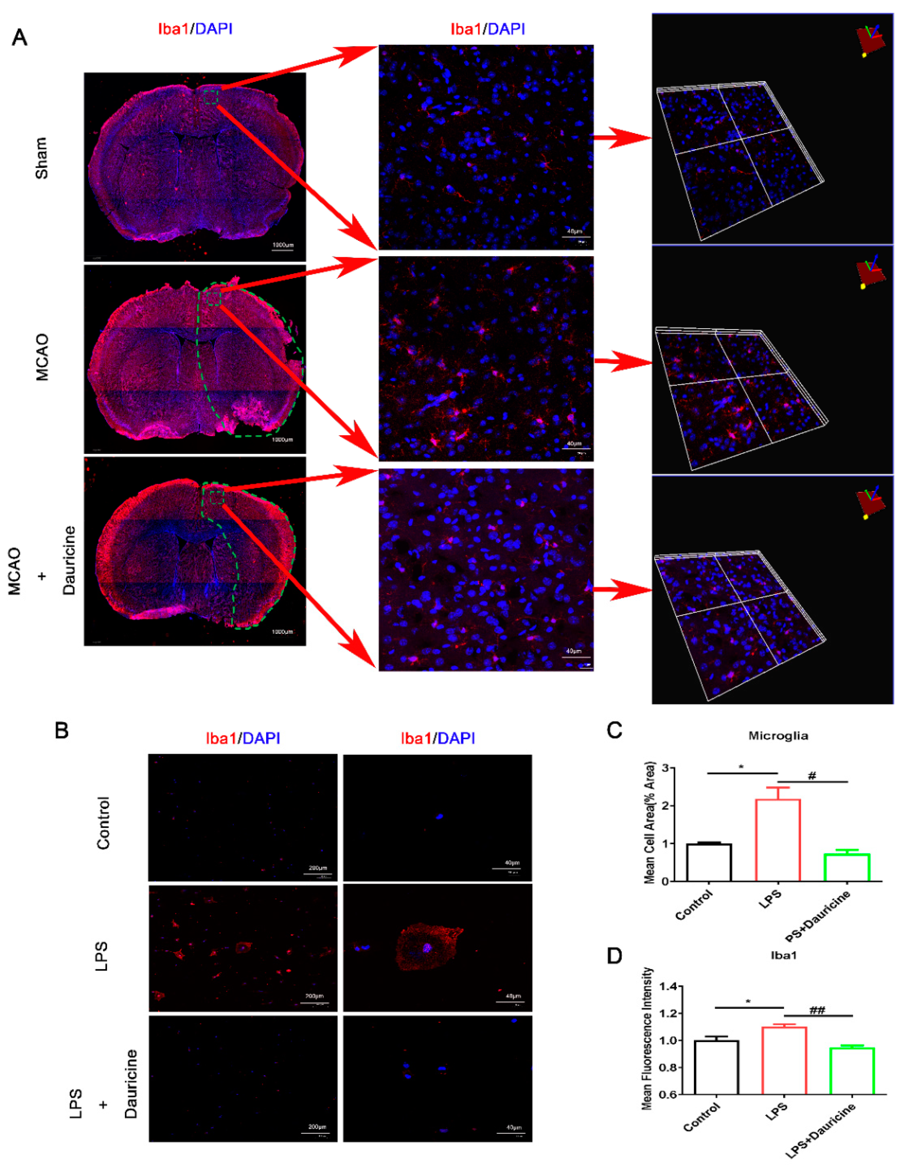 Brainsci 12 01153 g003