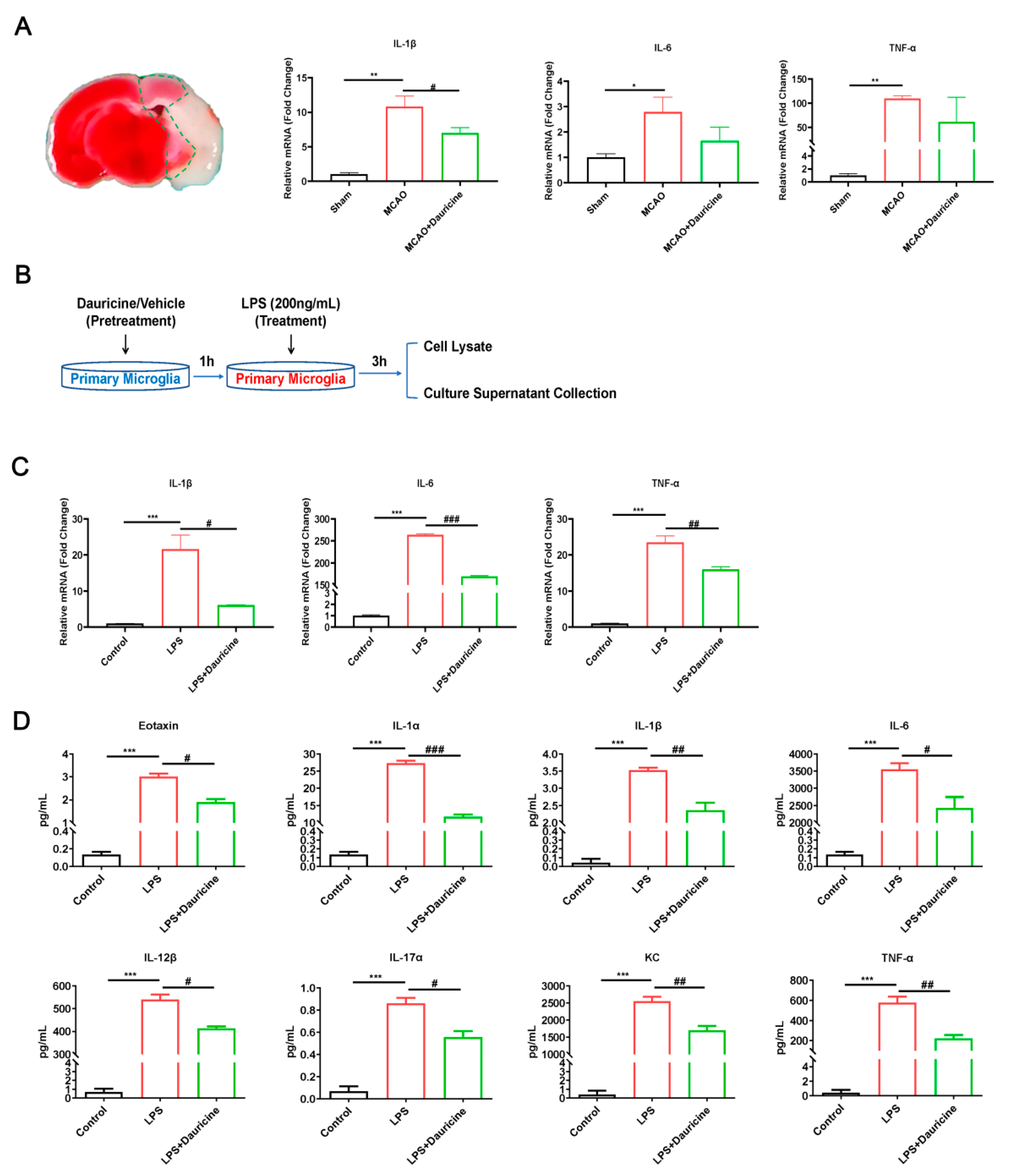 Brainsci 12 01153 g004