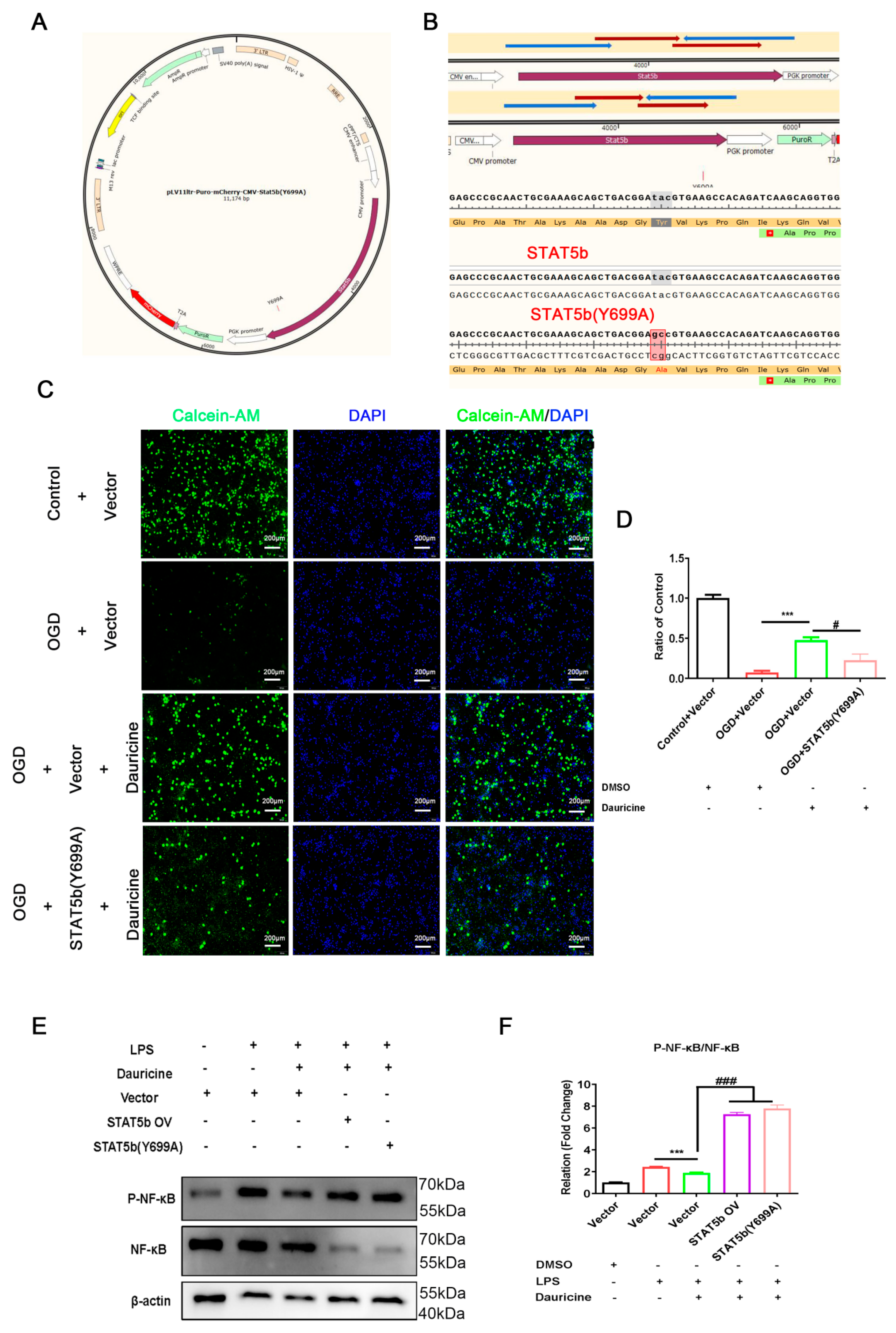 Brainsci 12 01153 g007