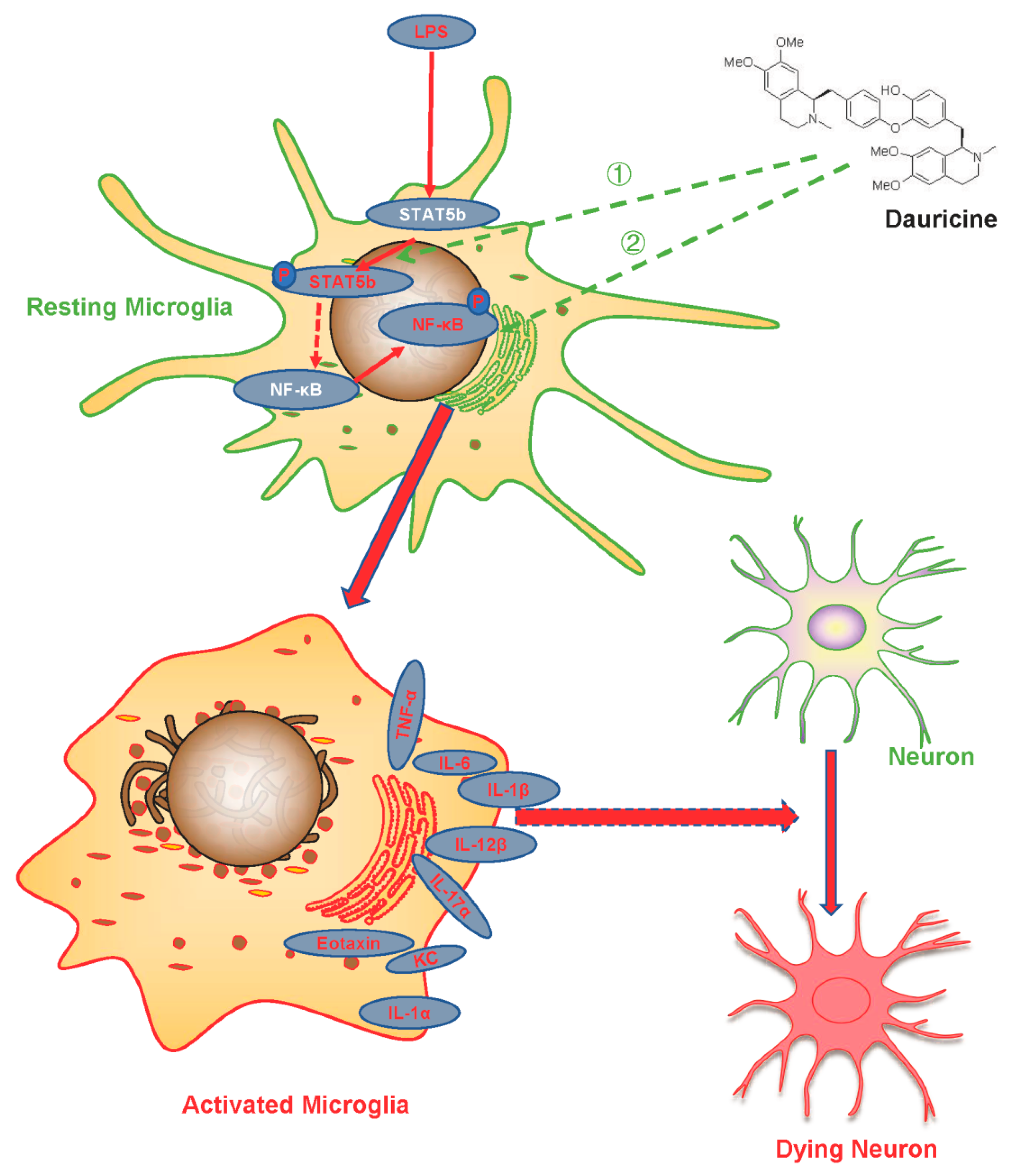 Brainsci 12 01153 g008