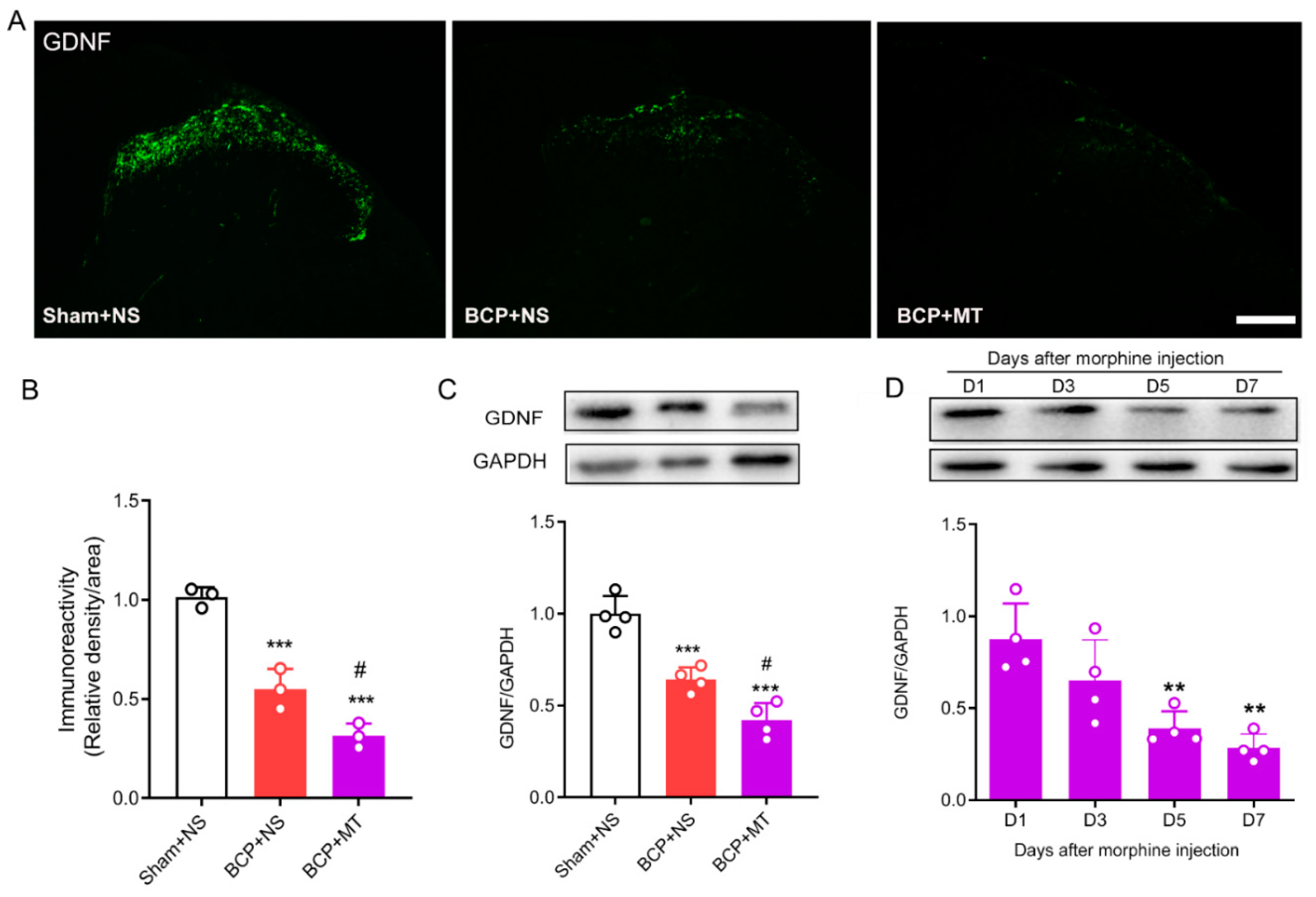 Brainsci 12 01188 g003