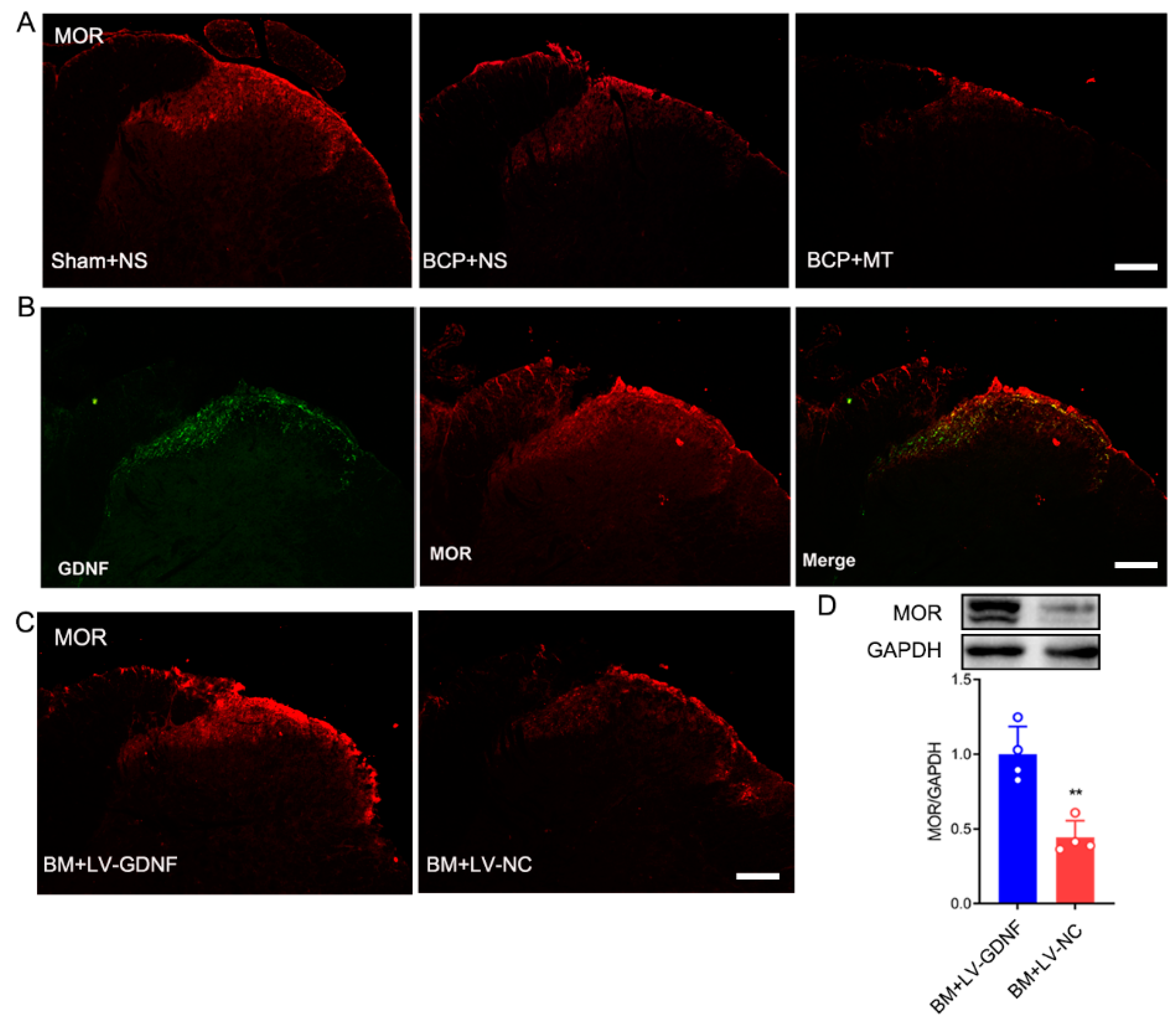 Brainsci 12 01188 g006