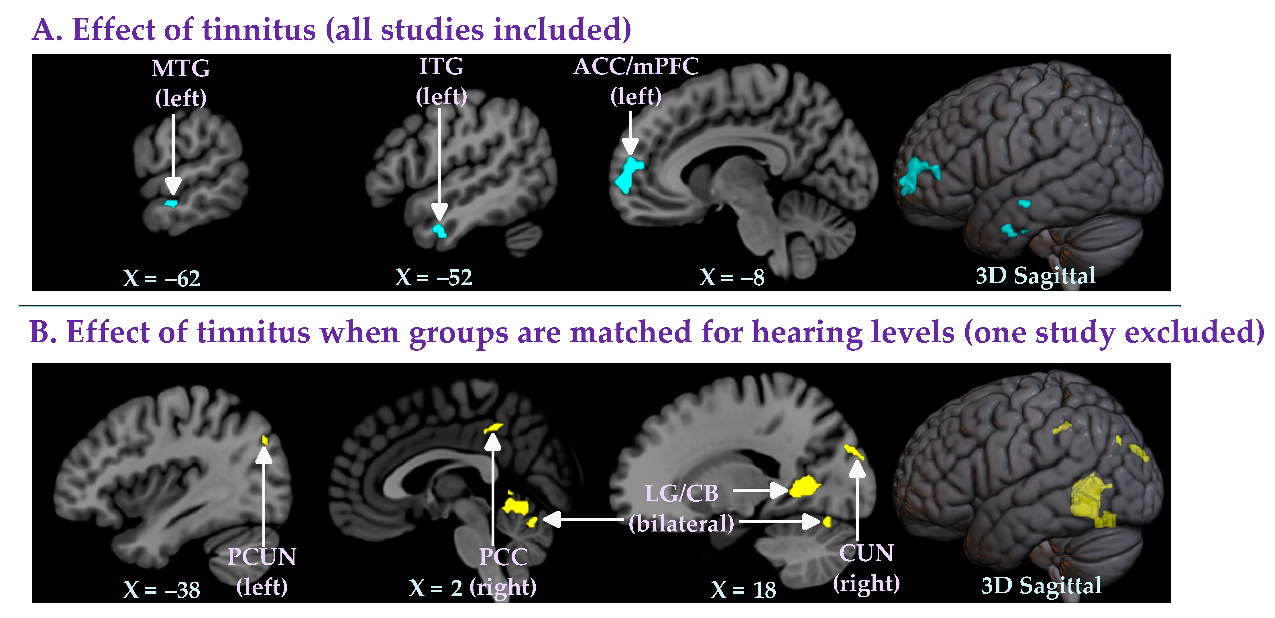 Brainsci 12 01192 g002