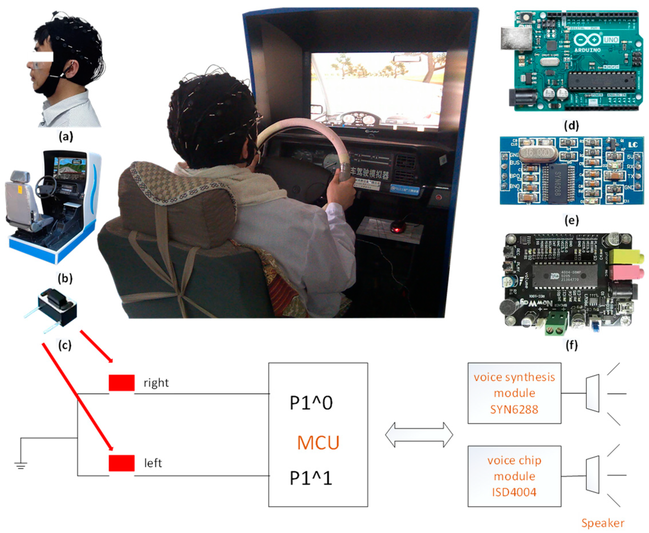 Brainsci 12 01199 g001