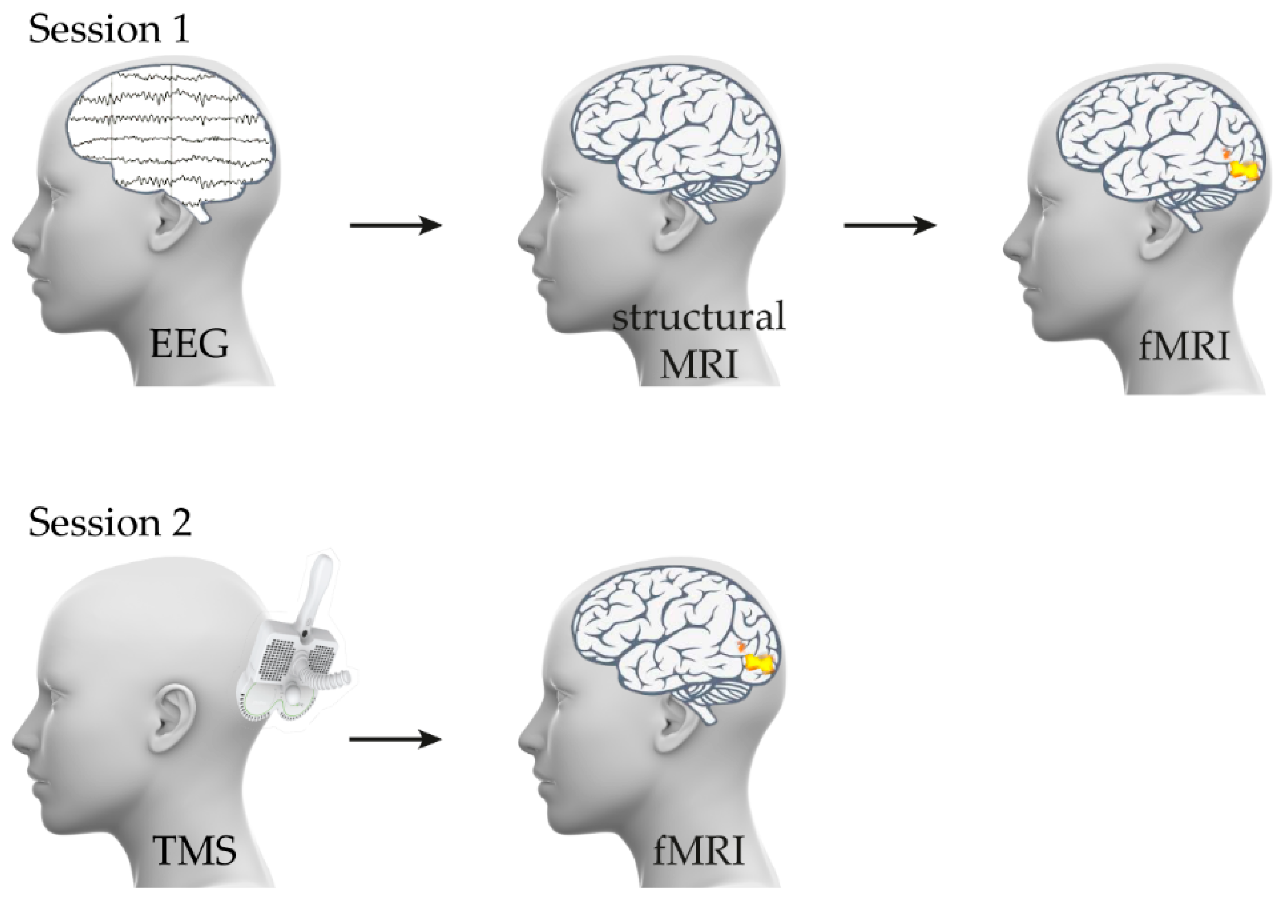 Brainsci 12 01241 g001