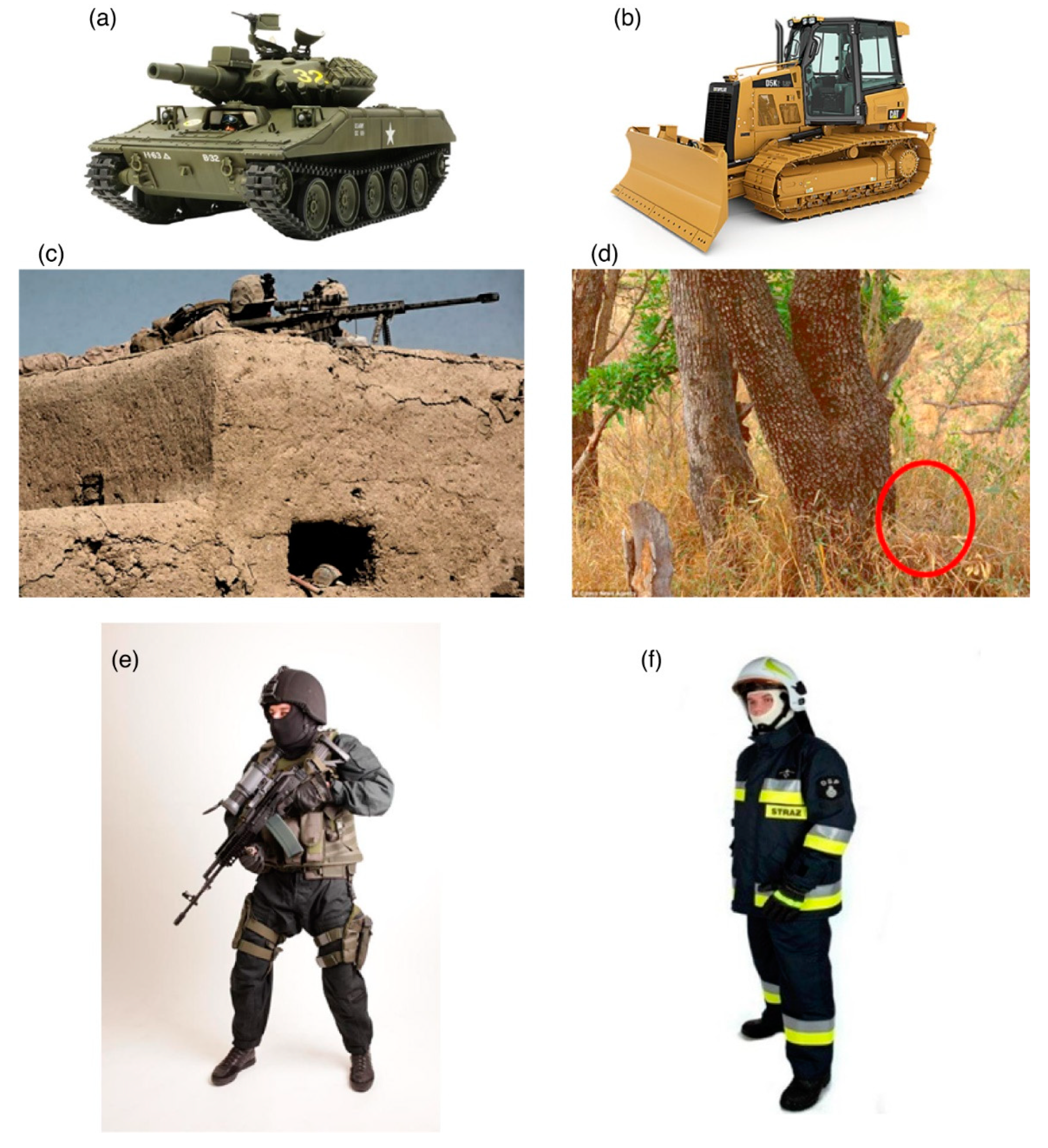 Brainsci 12 01241 g002