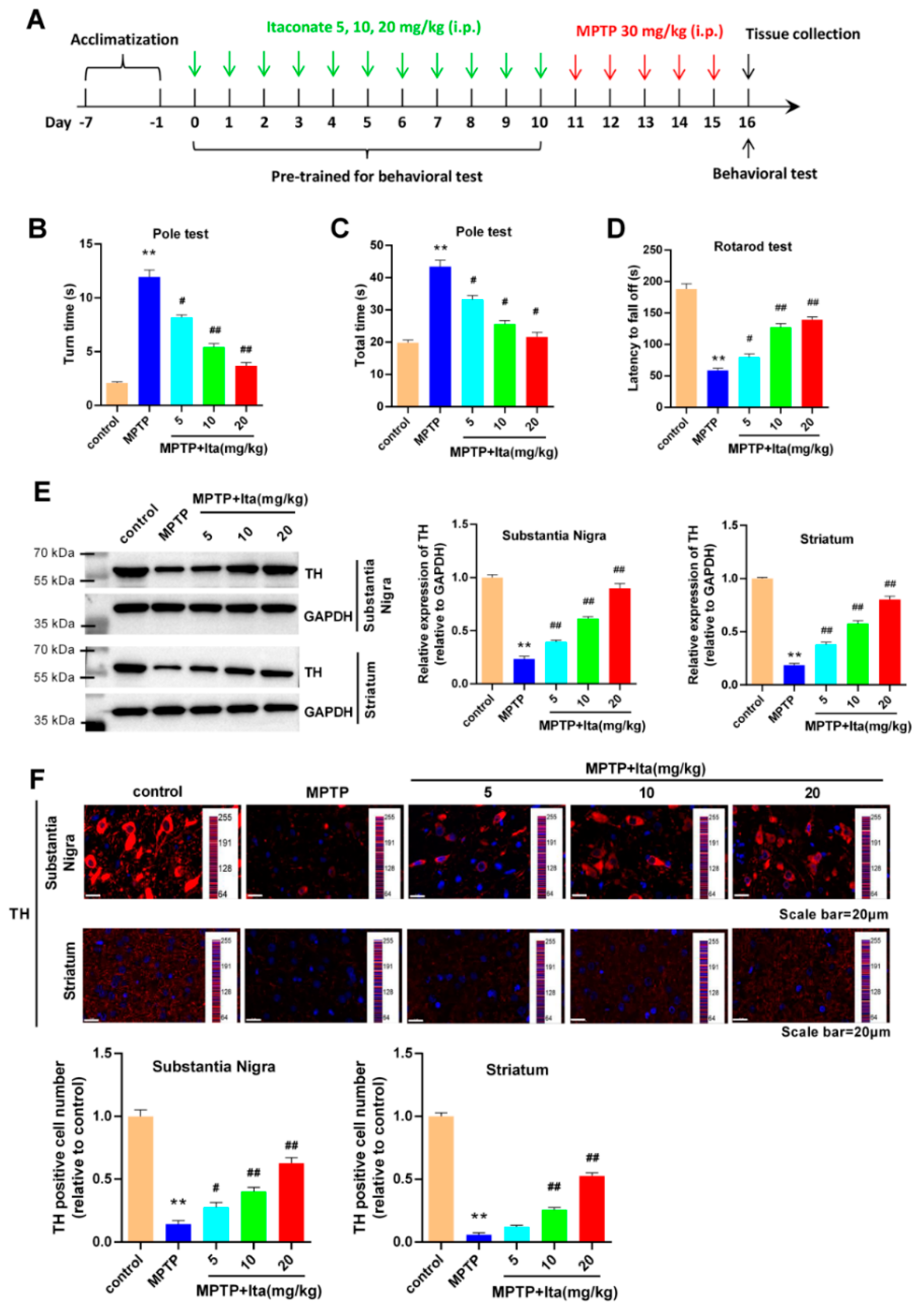 Brainsci 12 01255 g001