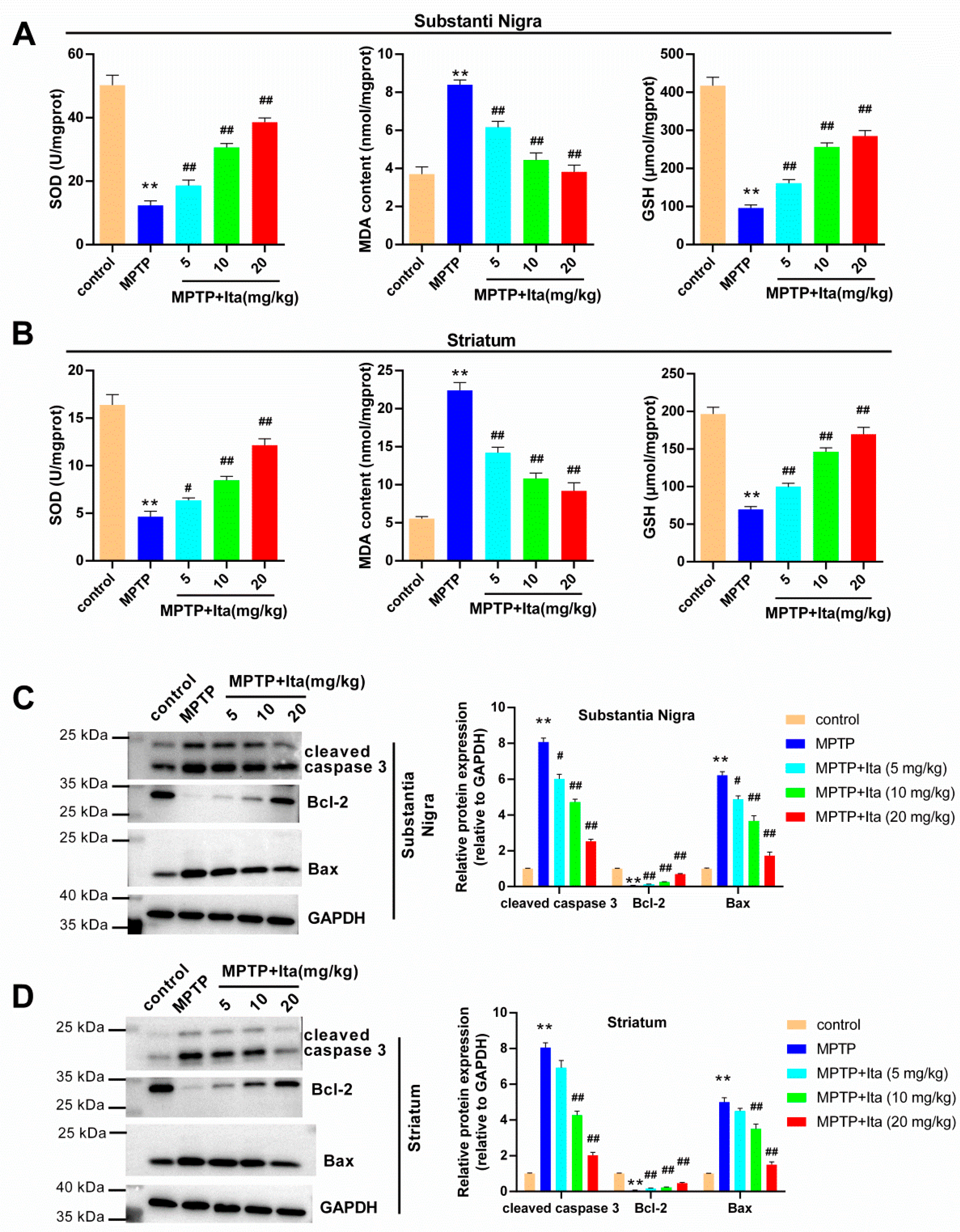 Brainsci 12 01255 g003