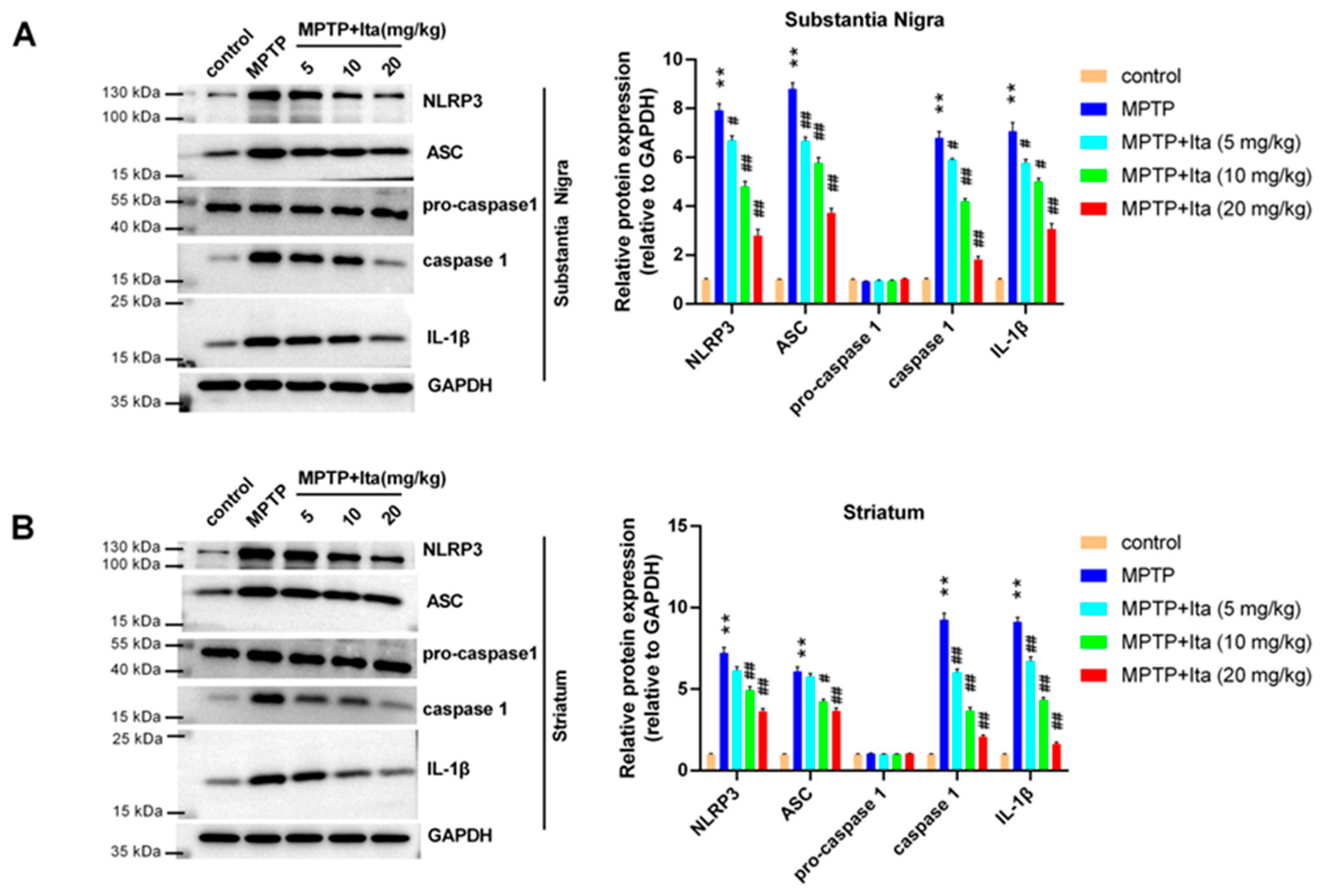Brainsci 12 01255 g004