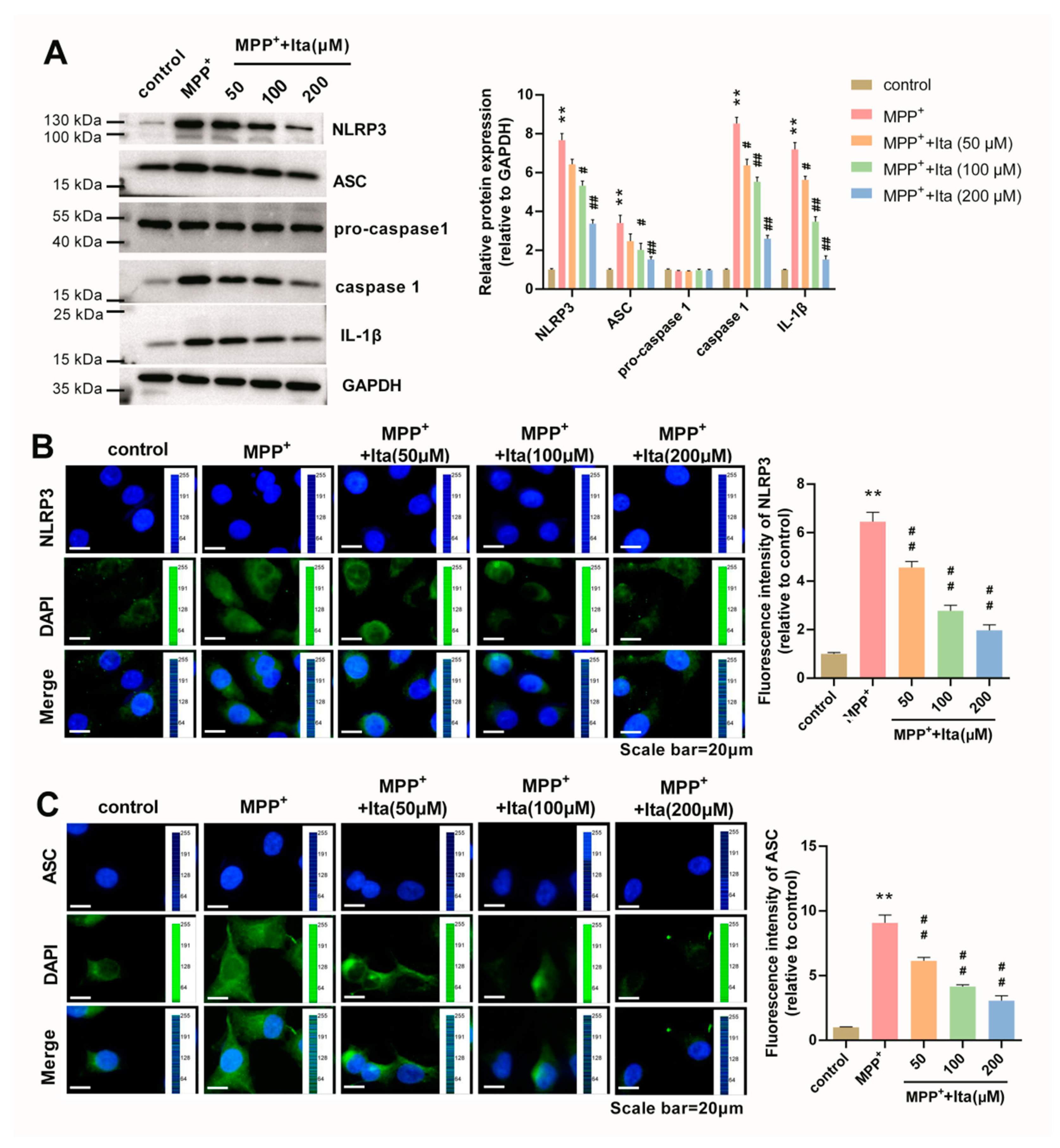 Brainsci 12 01255 g008