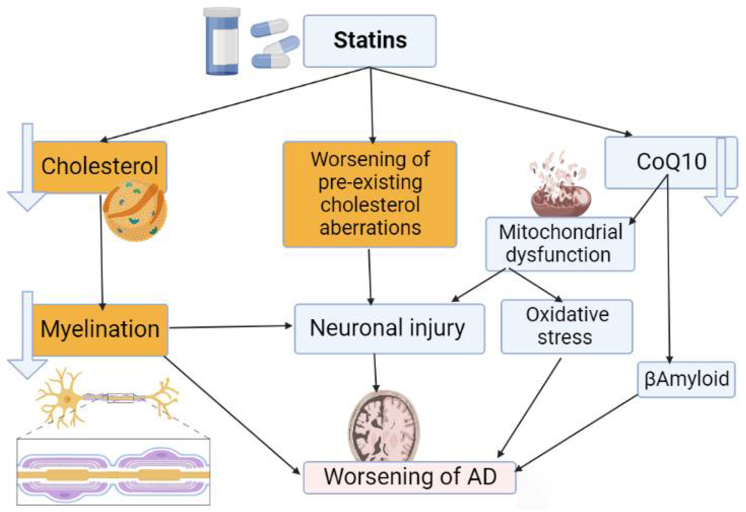 Brain Sciences | Free Full-Text | Statins Use in Alzheimer Disease: Bane or  Boon from Frantic Search and Narrative Review