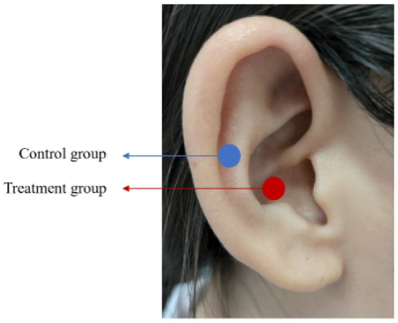 https://www.mdpi.com/brainsci/brainsci-12-01296/article_deploy/html/images/brainsci-12-01296-g002.png