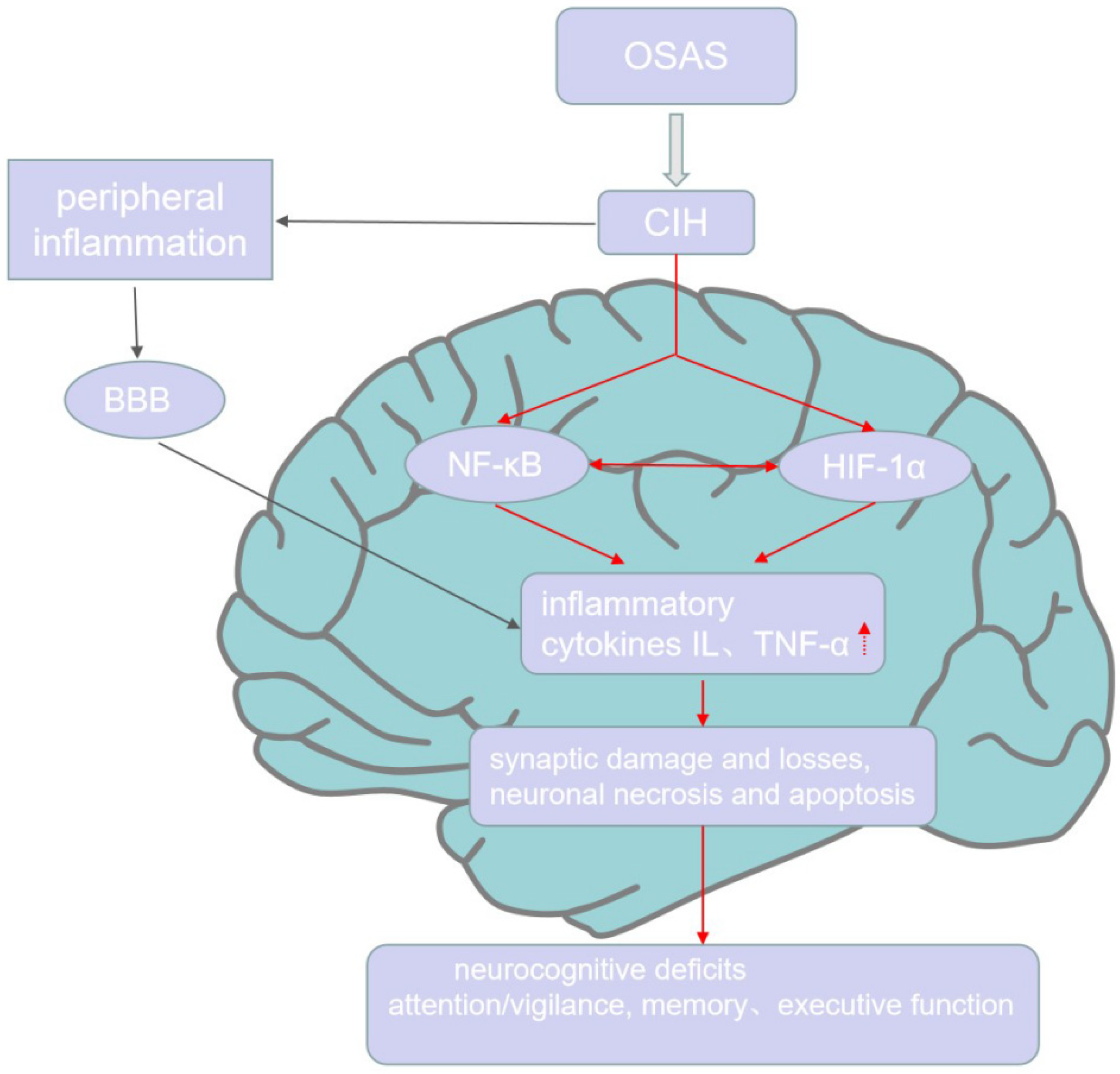 https://www.mdpi.com/brainsci/brainsci-12-01303/article_deploy/html/images/brainsci-12-01303-g001.png