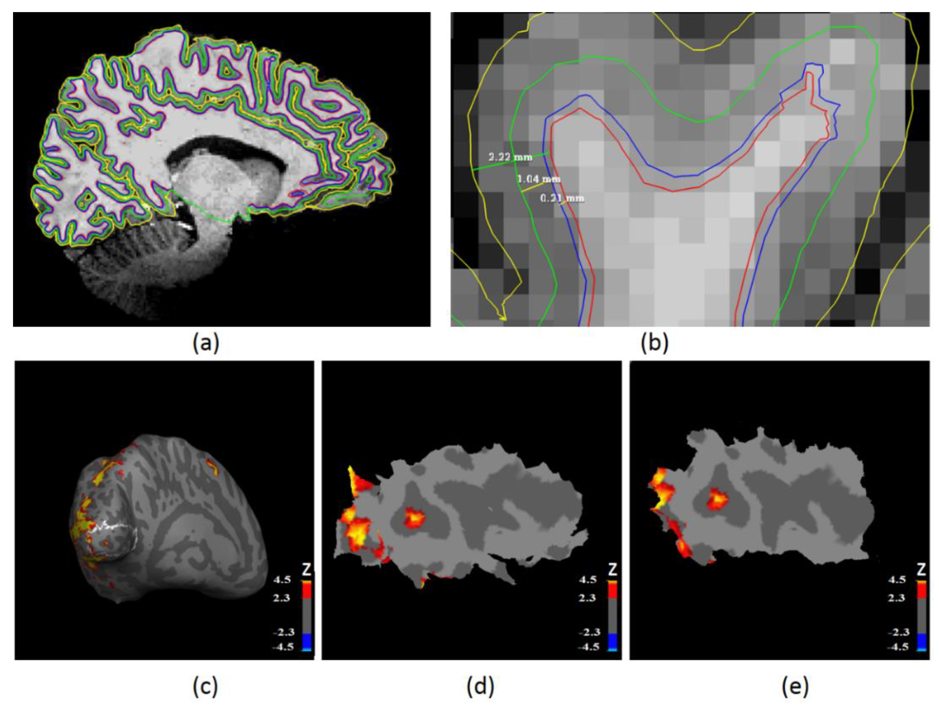 Brainsci 12 01361 g002