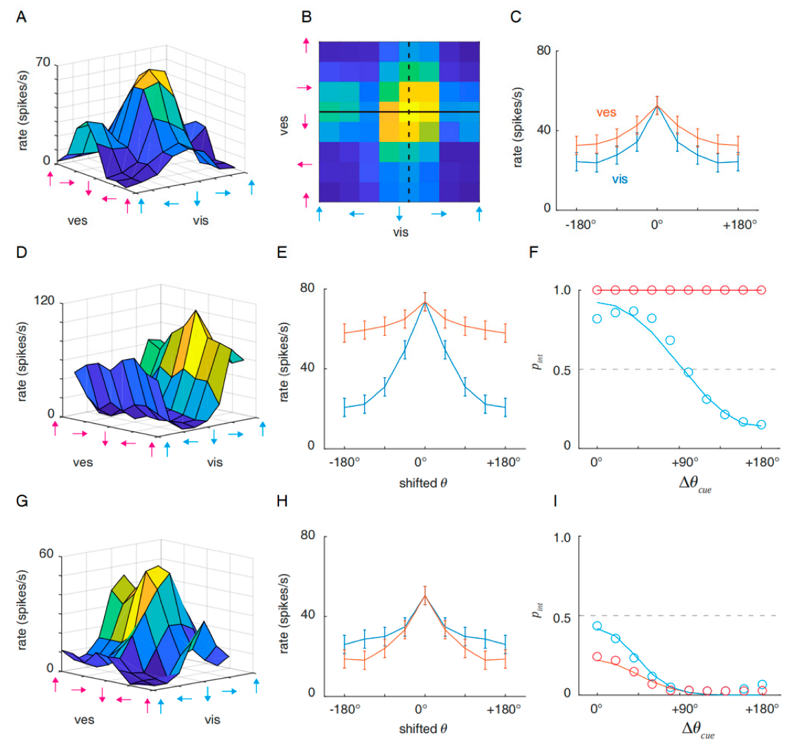 Brainsci 12 01387 g003 Brainsci 12 01387 g003