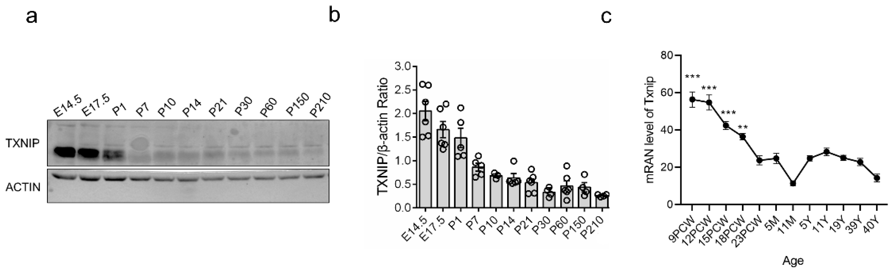 Brainsci 12 01395 g001 Brainsci 12 01395 g001