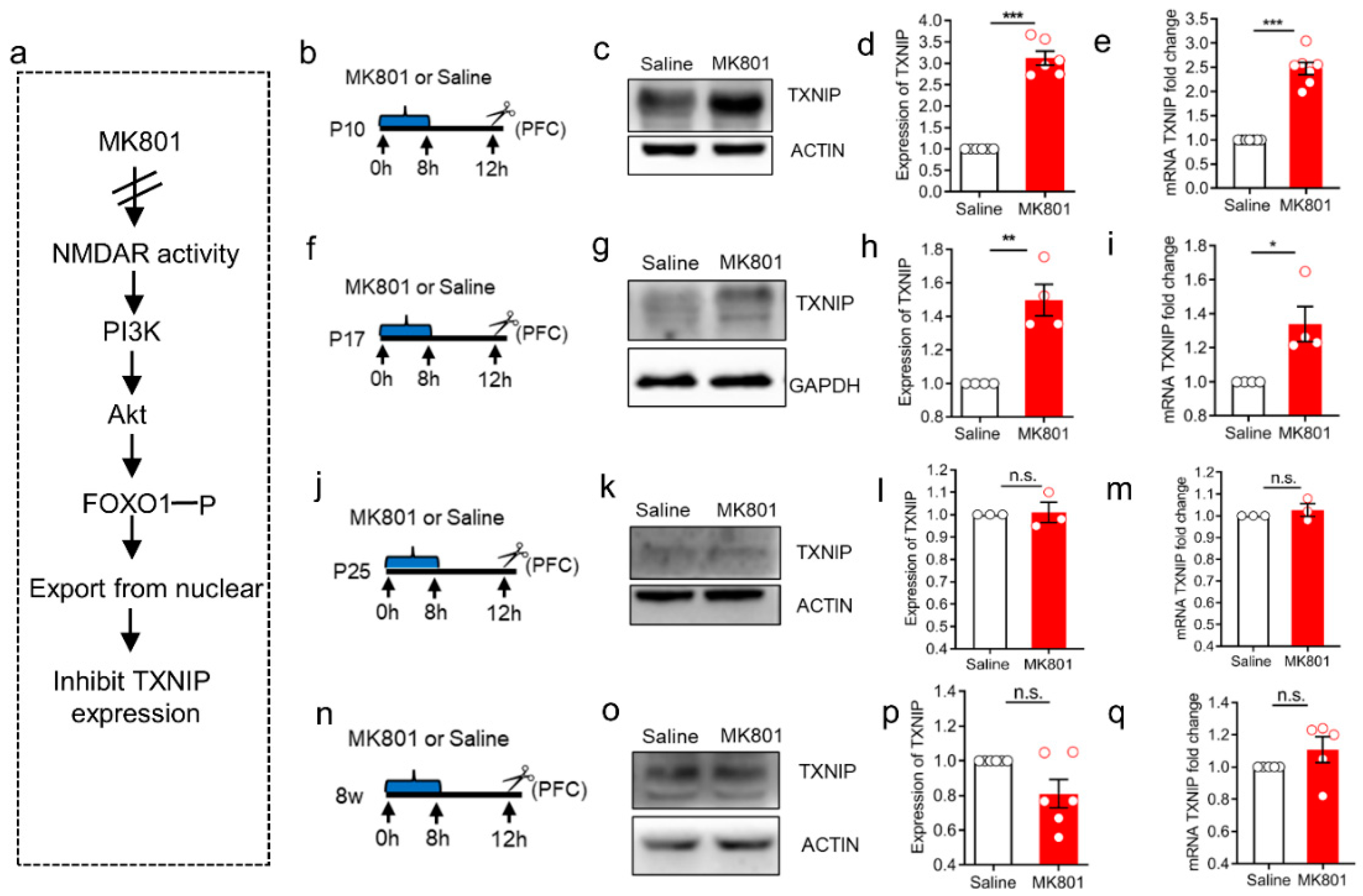 Brainsci 12 01395 g002 Brainsci 12 01395 g002