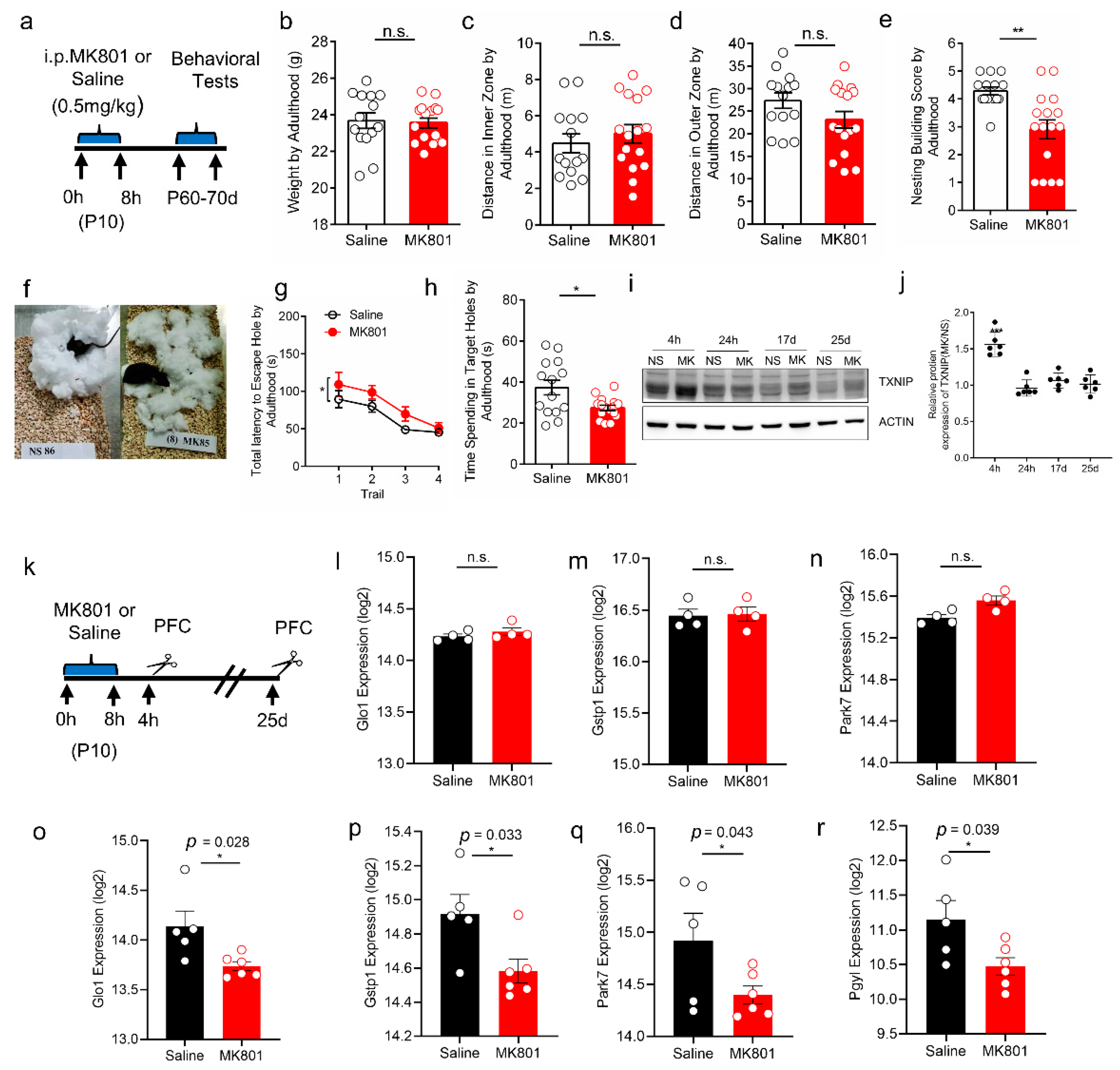 Brainsci 12 01395 g005 Brainsci 12 01395 g005