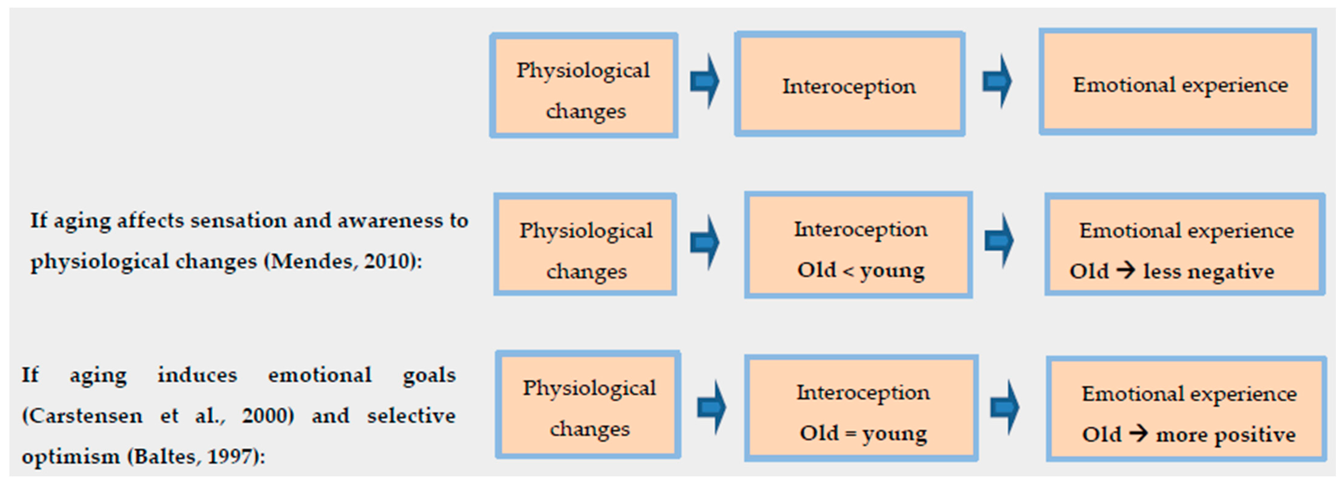 Brain Sciences | Free Full-Text | Interoception In Old Age