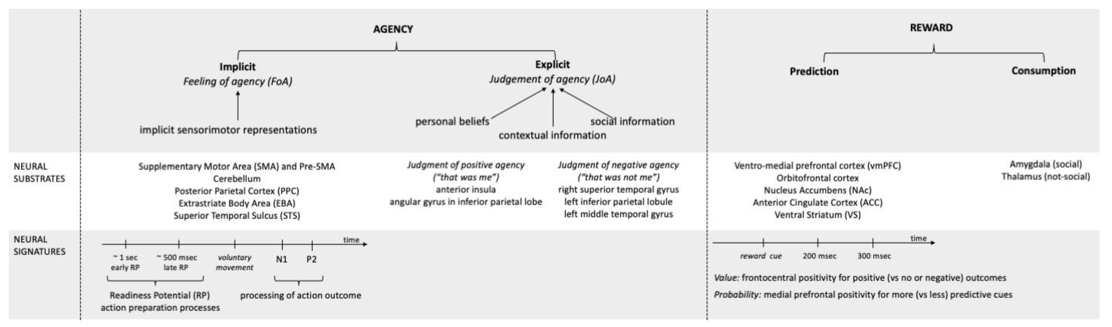 Brainsci 12 01411 g001 Brainsci 12 01411 g001