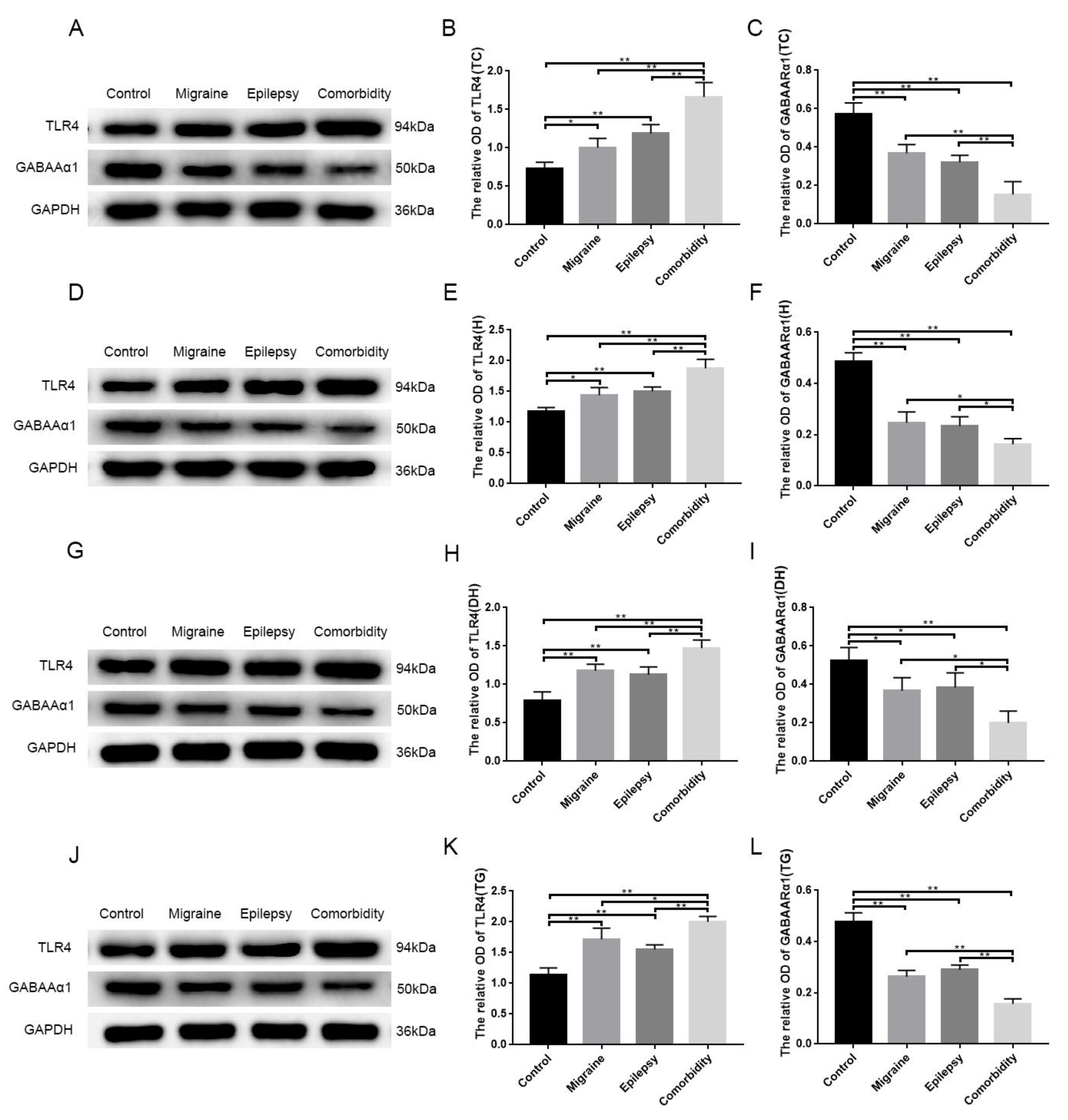 Brainsci 12 01436 g002