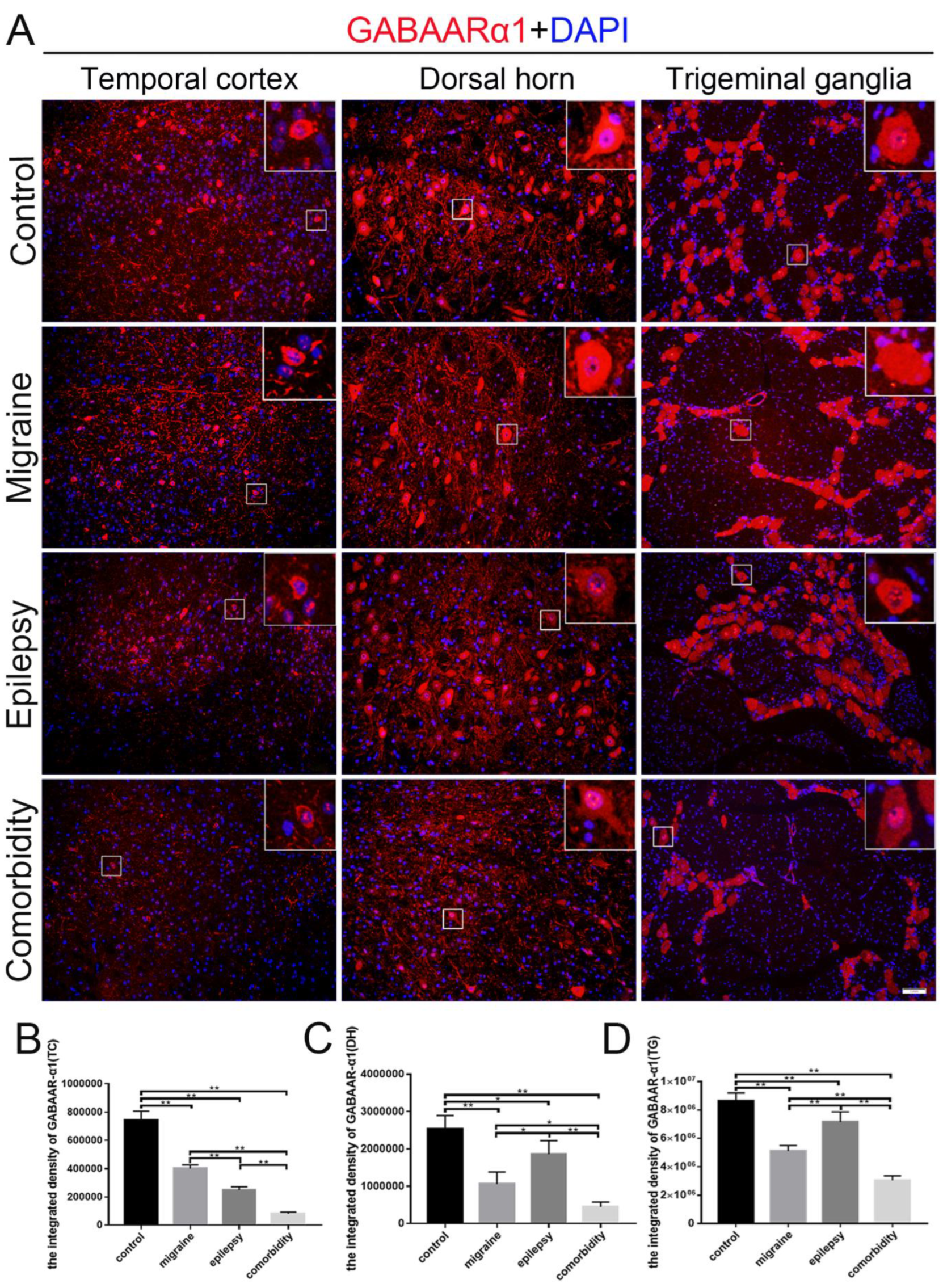 Brainsci 12 01436 g003