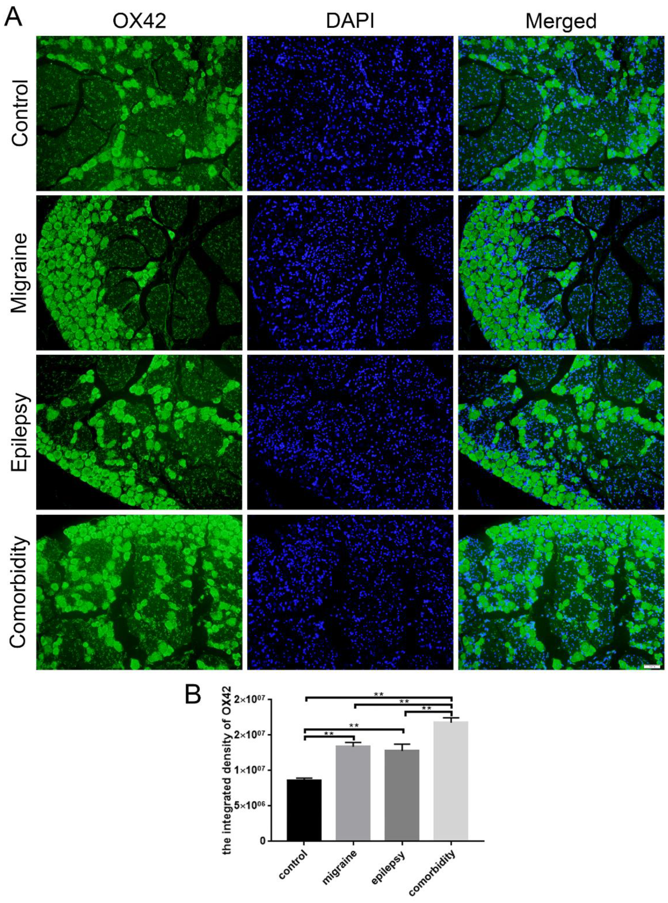 Brainsci 12 01436 g005