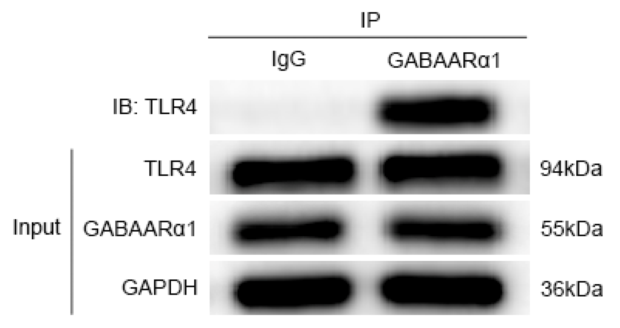 Brainsci 12 01436 g006