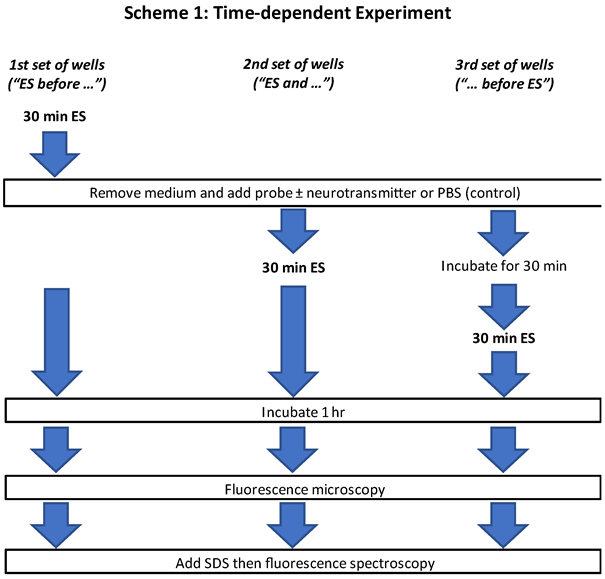 https://www.mdpi.com/brainsci/brainsci-12-01504/article_deploy/html/images/brainsci-12-01504-g001.png