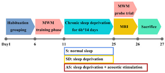 sleep deprivation effects timeline