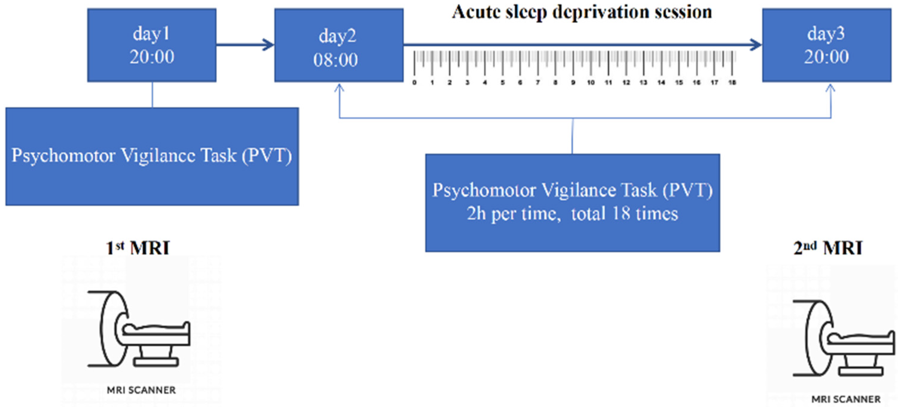 Brainsci 12 01534 g001