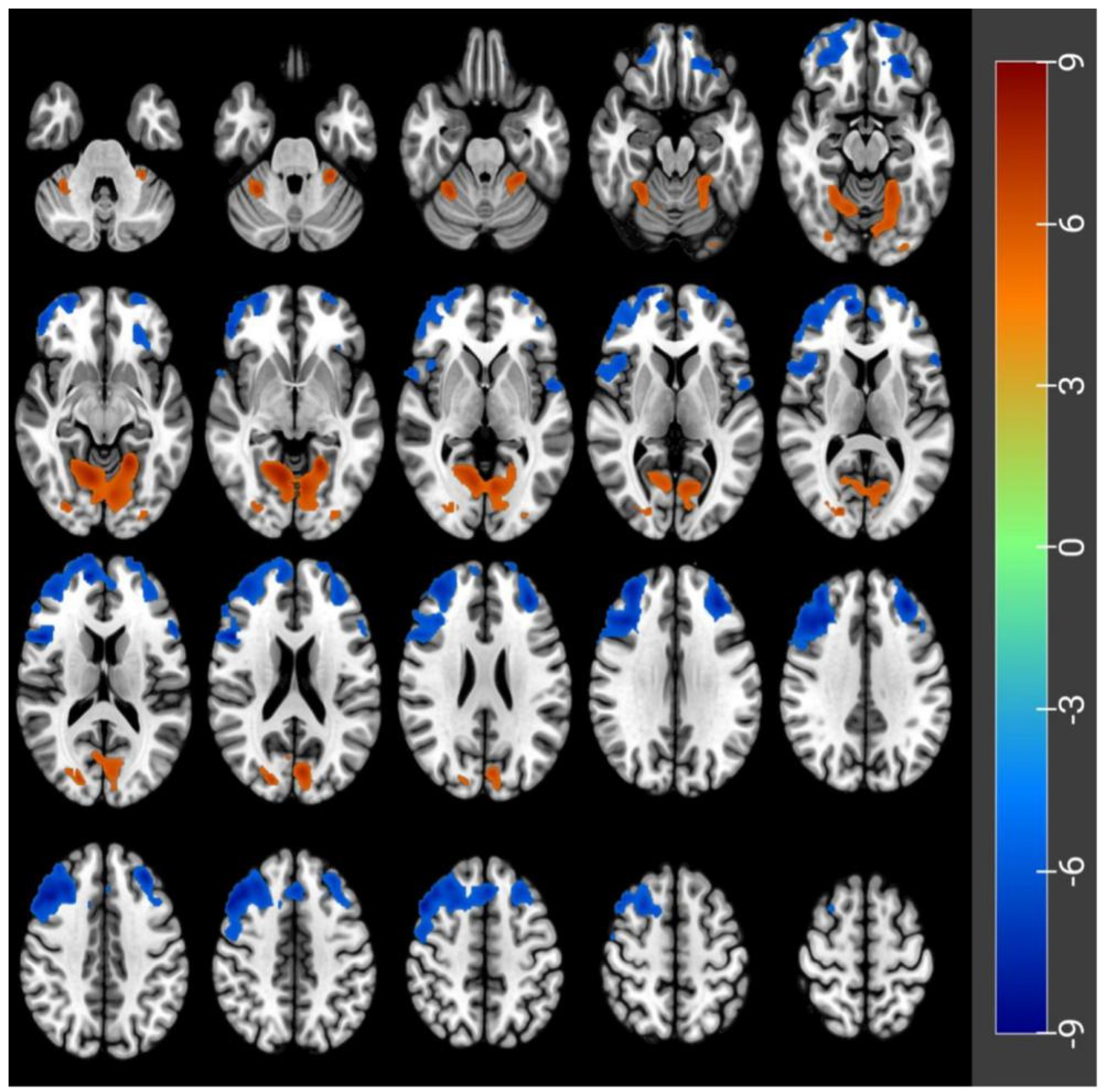 Brainsci 12 01534 g003