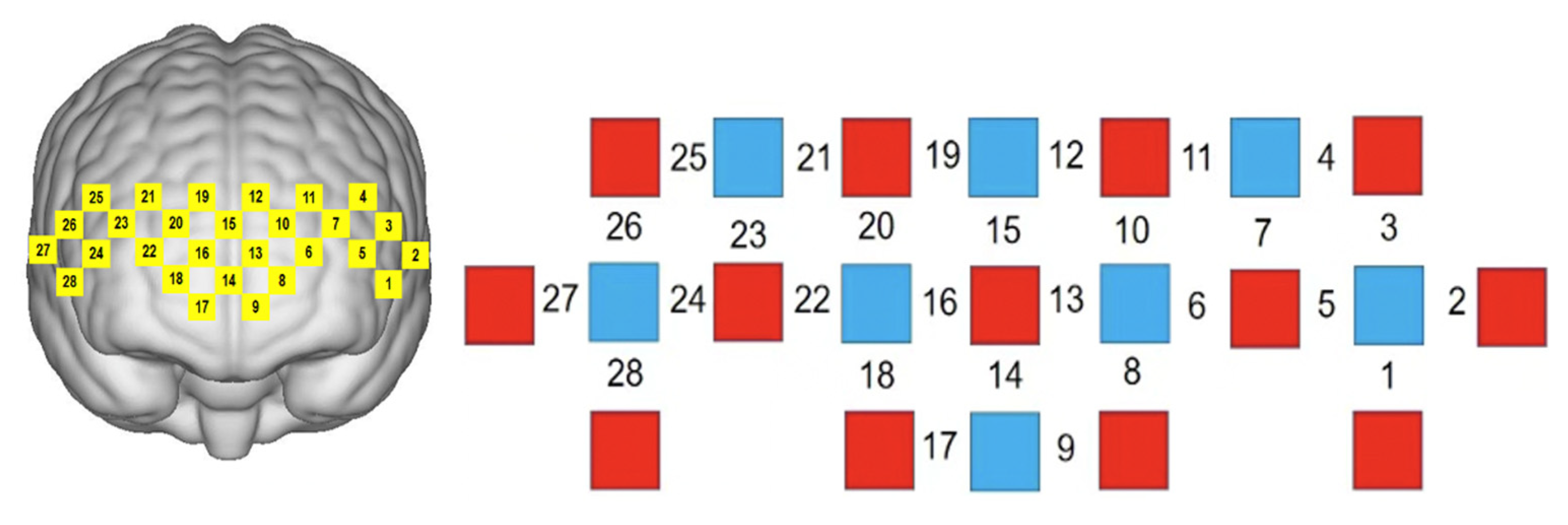 Brainsci 12 01561 g002