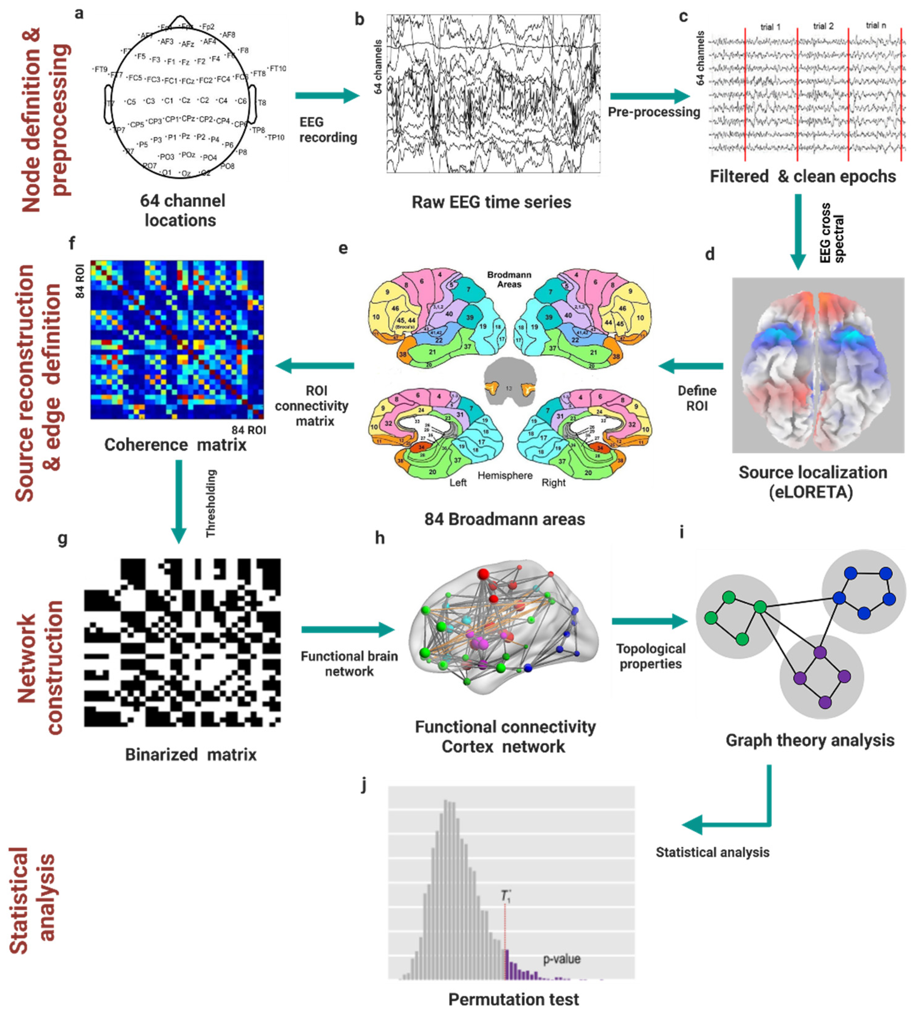 PDF) Diurnal oscillations of MRI metrics in the brains of male participants